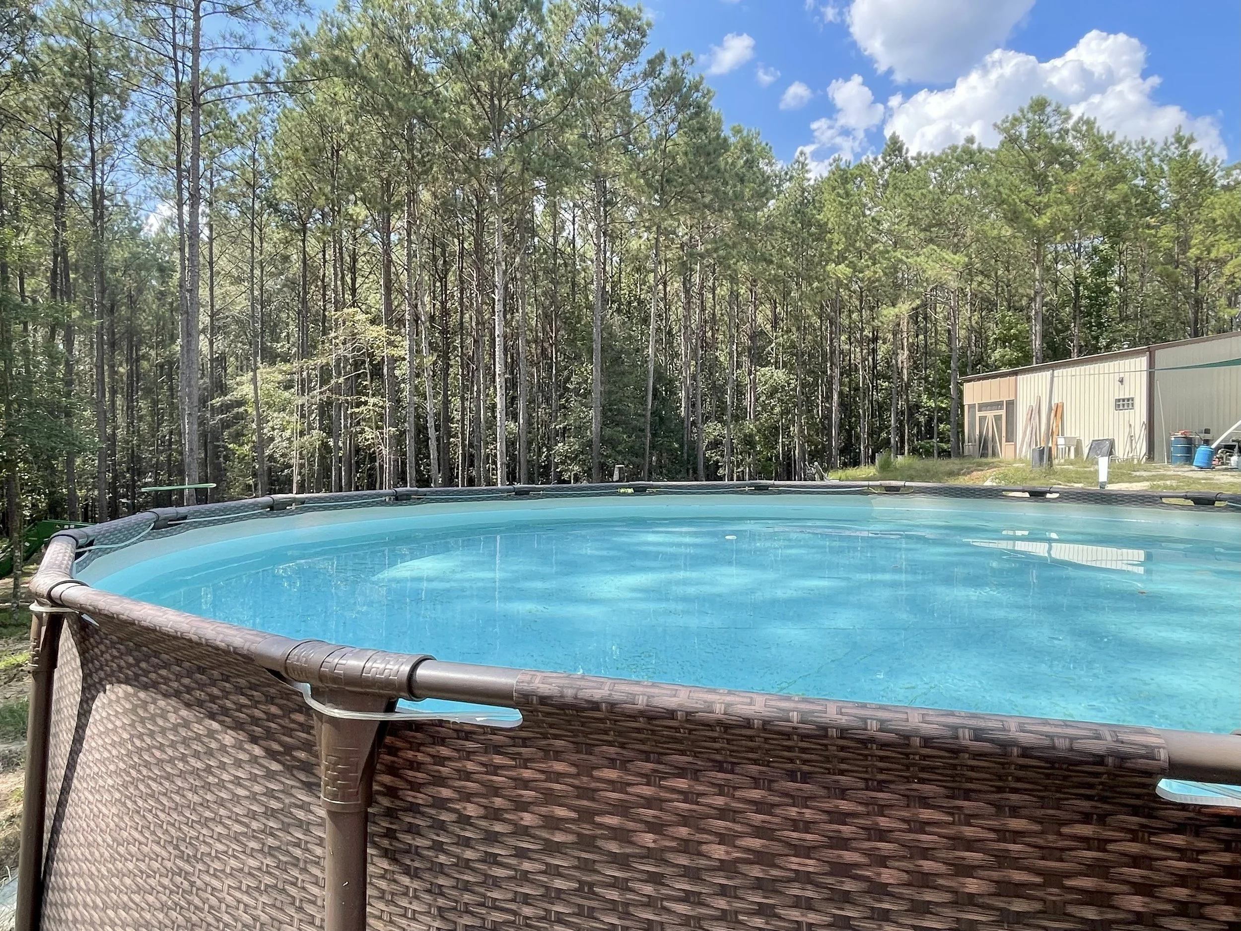 Above-ground swimming pool with a wicker-like exterior, set in a backyard with a forested background, a blue sky with scattered clouds, and a tan shed to the right.