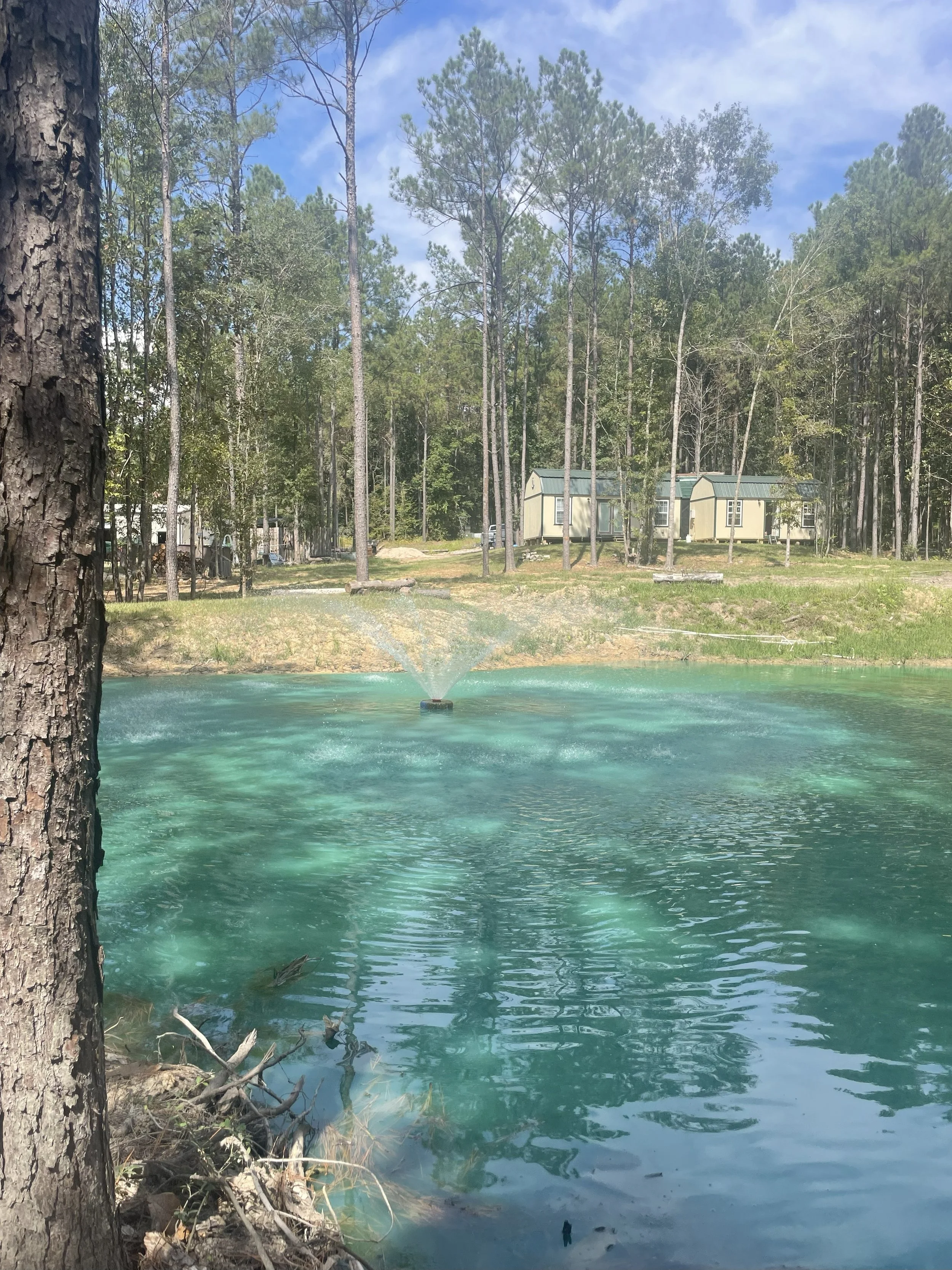 A small pond with a fountain in the center, surrounded by trees, with a beige mobile home or building in the background under a partly cloudy sky.