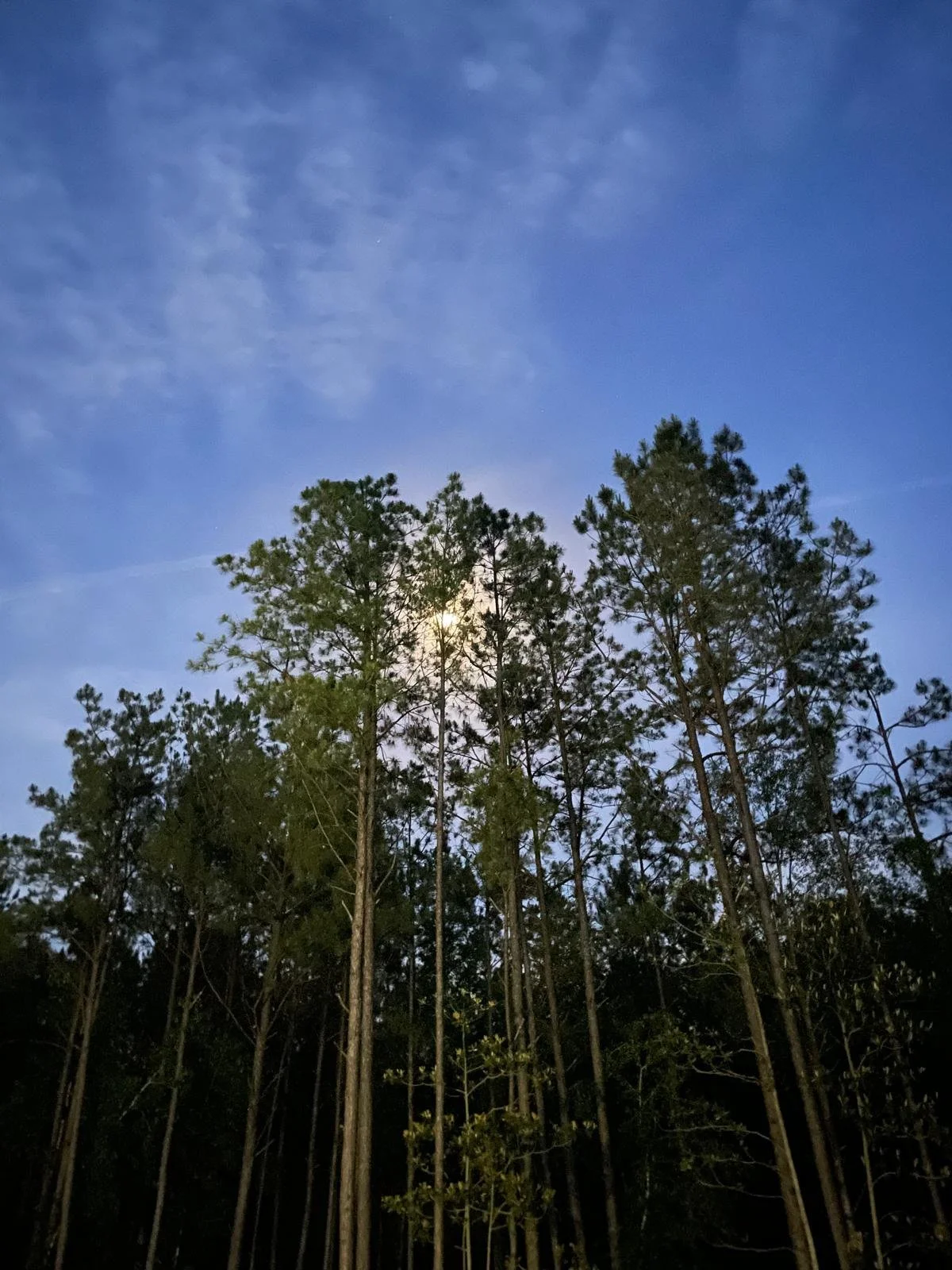 WhatsApp Image 2026-03-25 at 16.58.18(1).jpeg