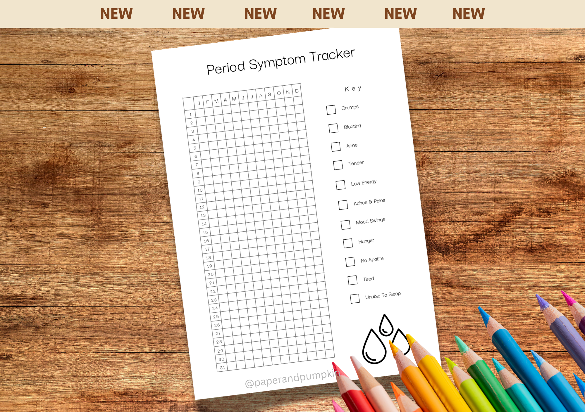 Period Symptom Tracker Bullet Journal Page