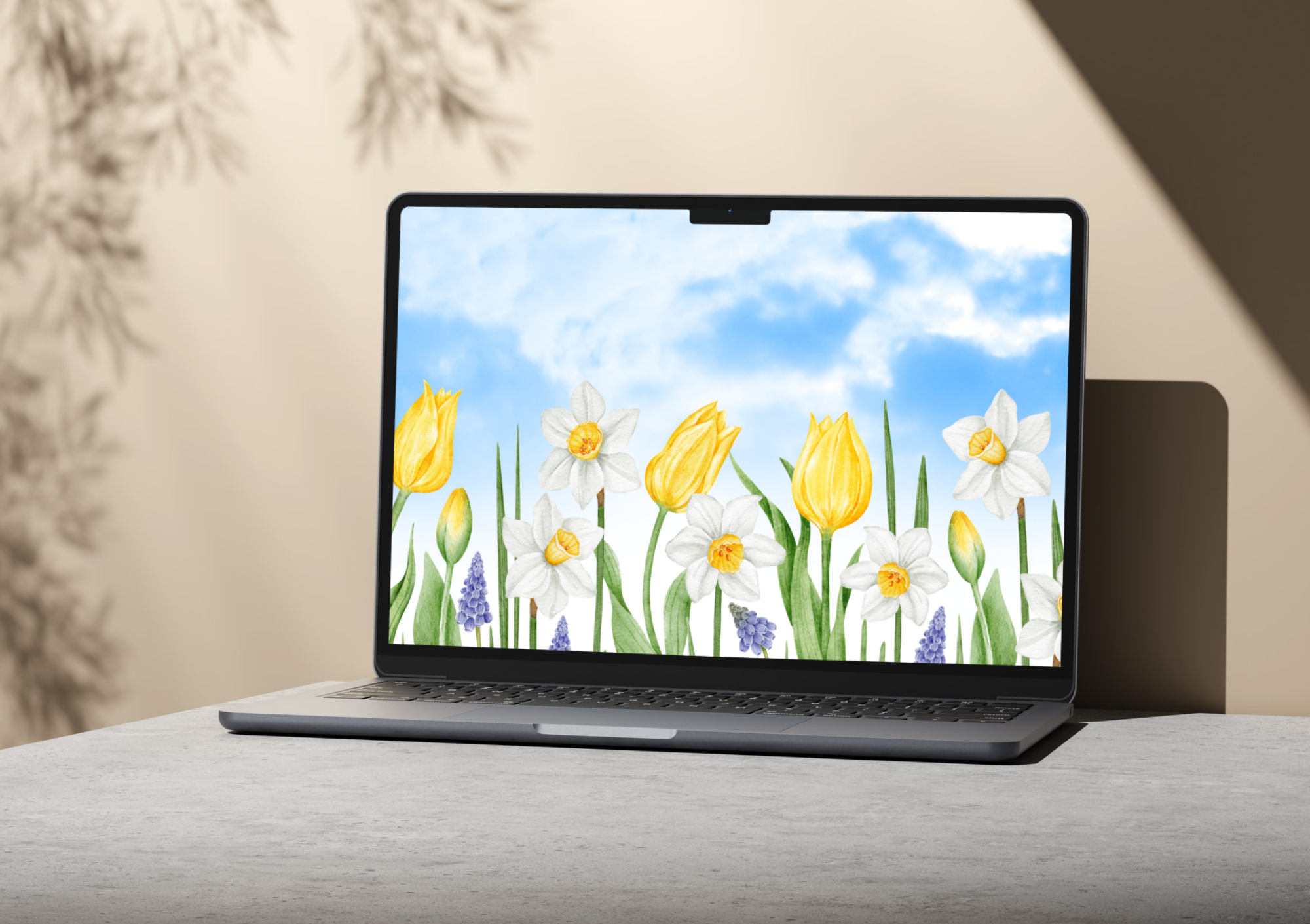 Untitled design (2).png