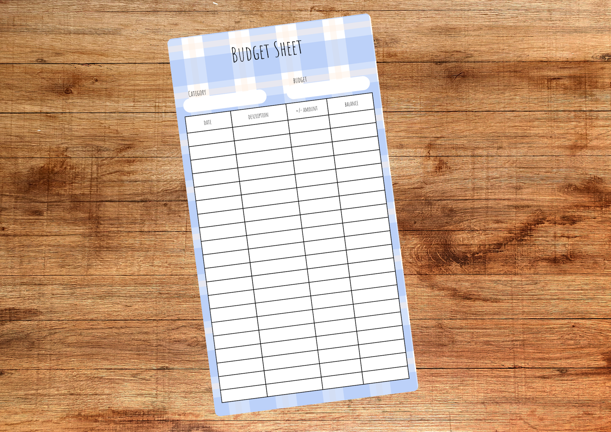 Blue Check Budget Sheet