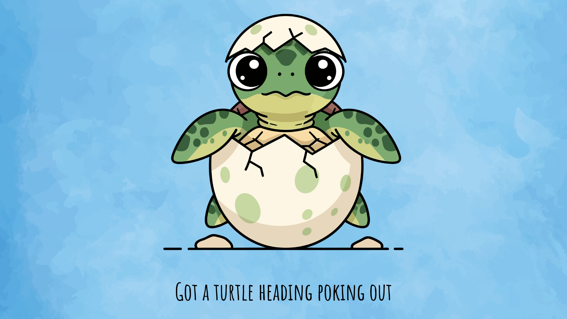 Got A Turtle Head Popping Out Digital Download Desktop Wallpaper