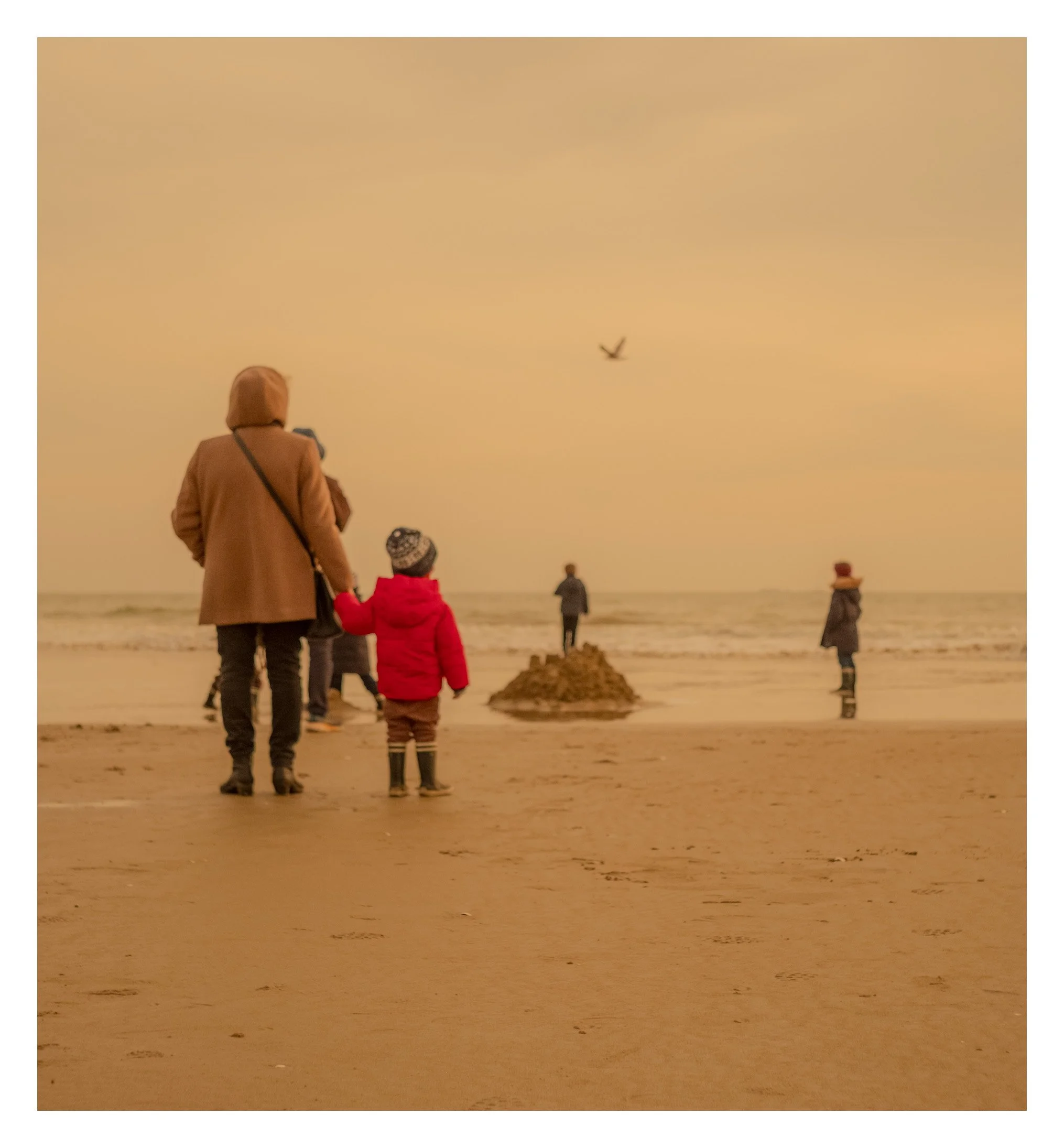 Promenade d'hiver