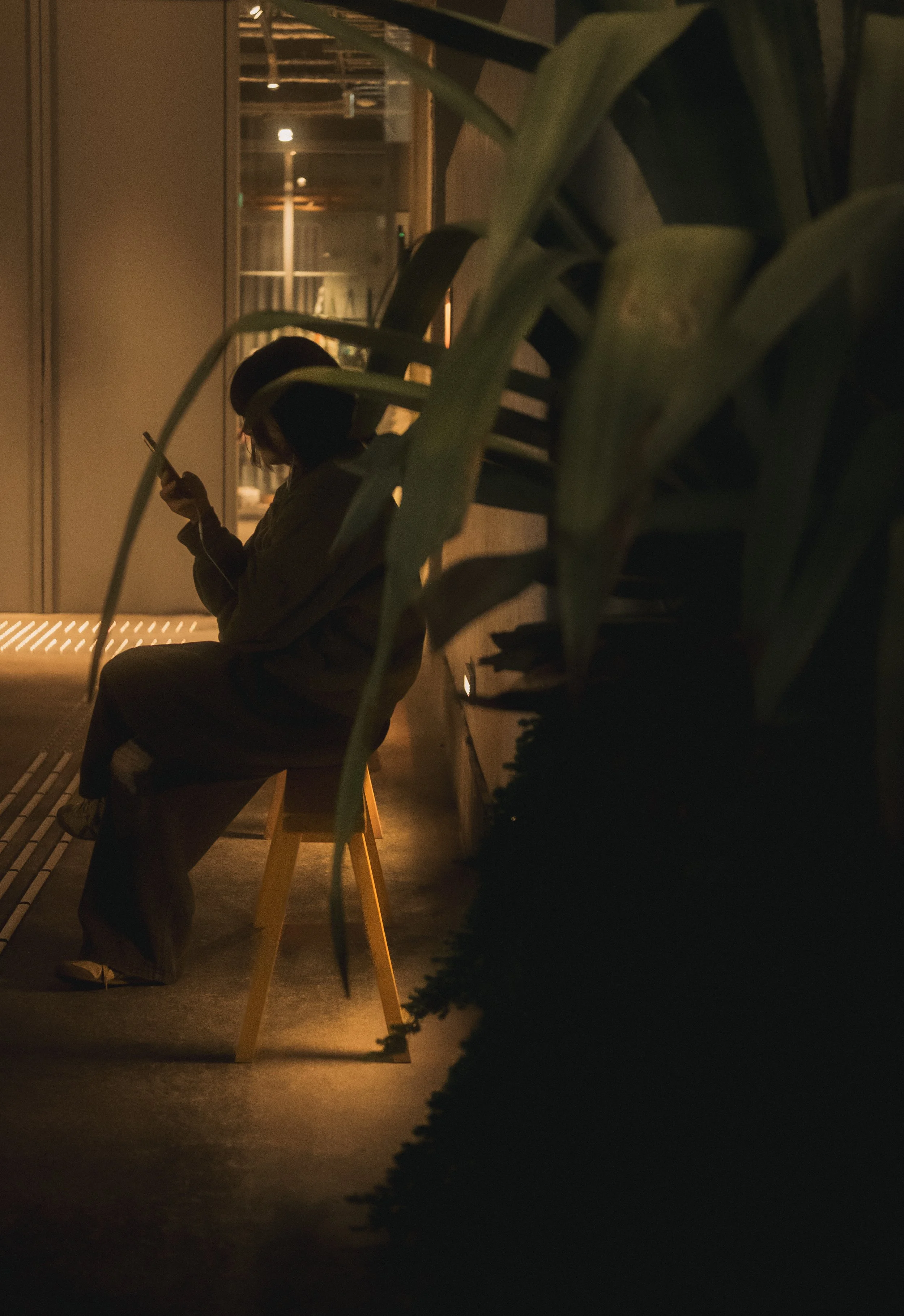 Une personne assise sur une chaise dans un espace intérieur ou extérieur sombre, utilisant un téléphone portable, avec de grandes plantes en premier plan.