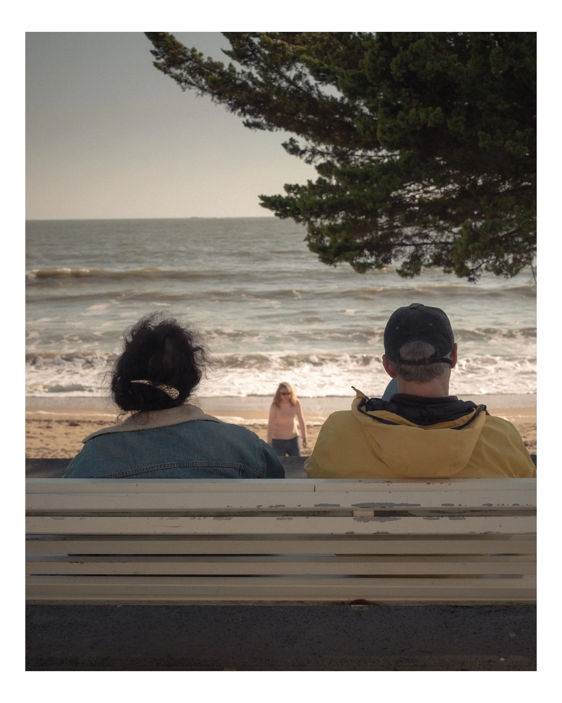 Deux personnes assises sur un banc regardant la plage et la mer, avec un couple marchant sur le sable en arrière-plan et un arbre au-dessus.