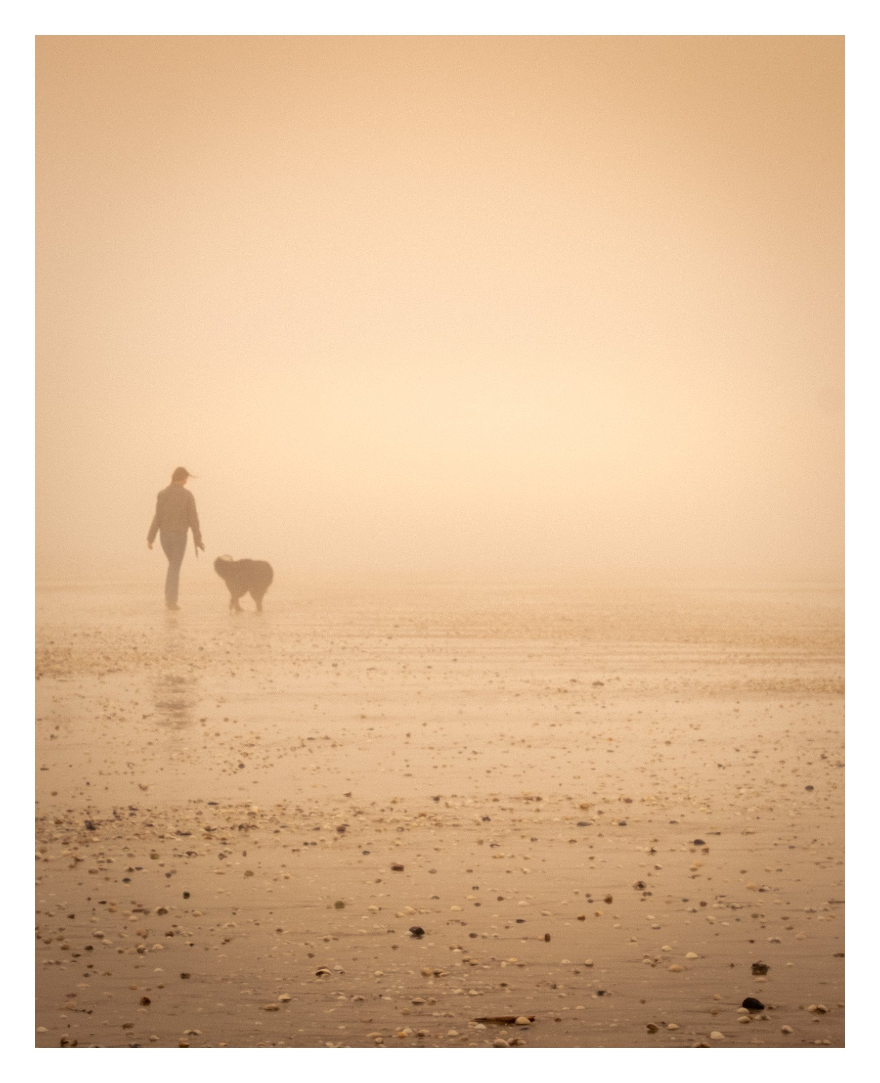 Une personne marchant avec un chien sur une plage embrumée ou poudrée, sous une lumière dorée