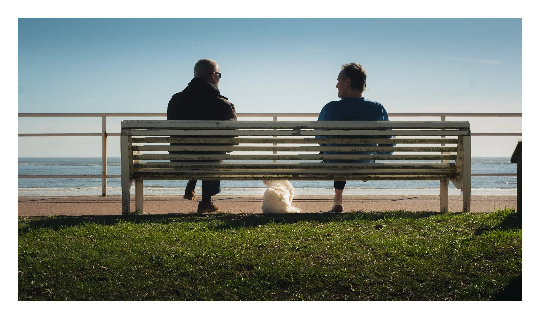 Deux hommes assis sur un banc au bord de la mer, discutant, avec un chien blanc assis entre eux, vue panoramique d'une plage et de l'océan.