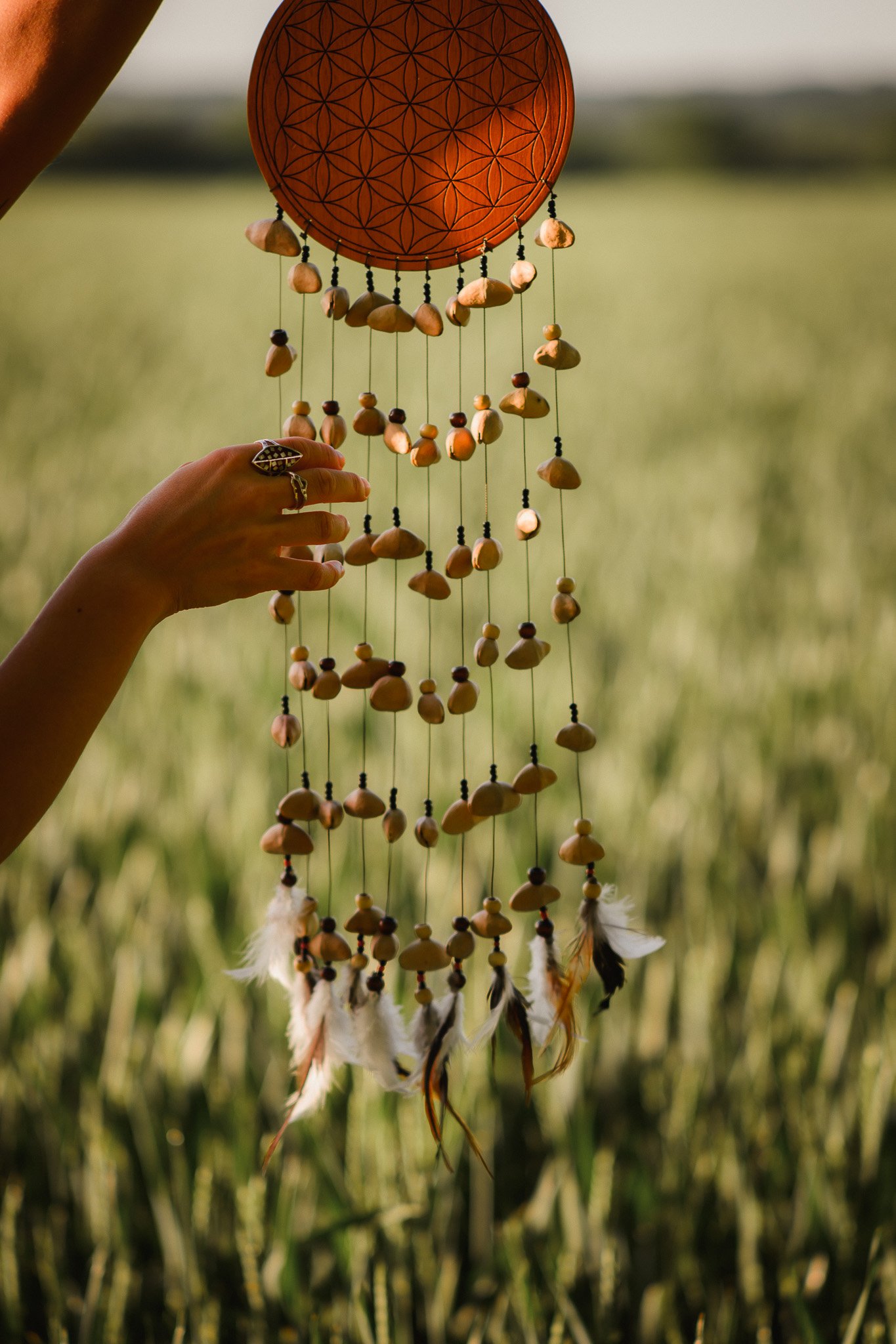 hertfordshire london somatic coach energy healing reiki spinal attunement energetics fascia release rewilding people ellie tanner facial sound healing crystal healing