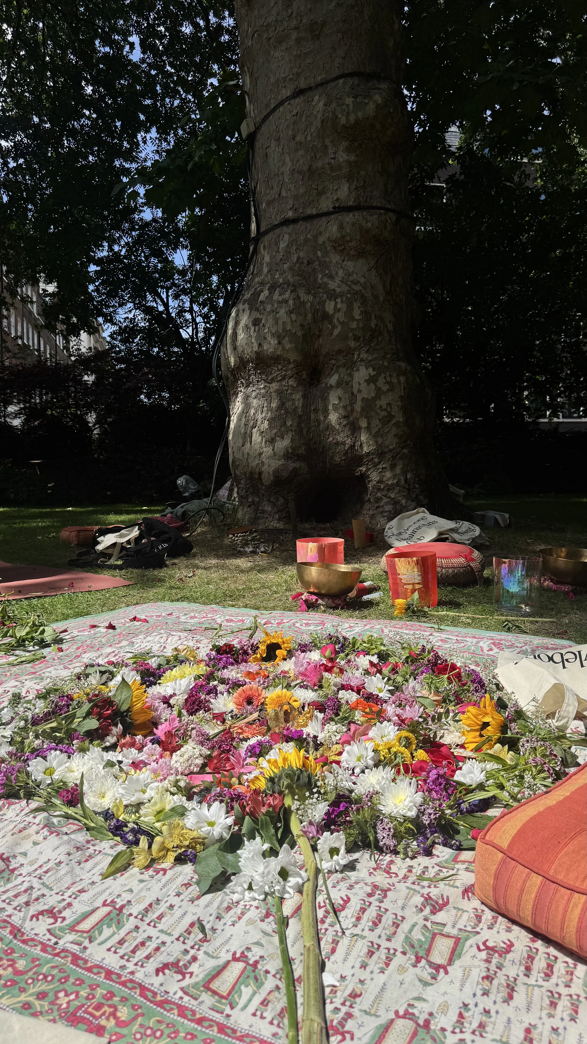 hertfordshire london somatic coach energy healing reiki spinal attunement energetics fascia release rewilding people ellie tanner facial sound healing crystal healing marylebone healing arts club