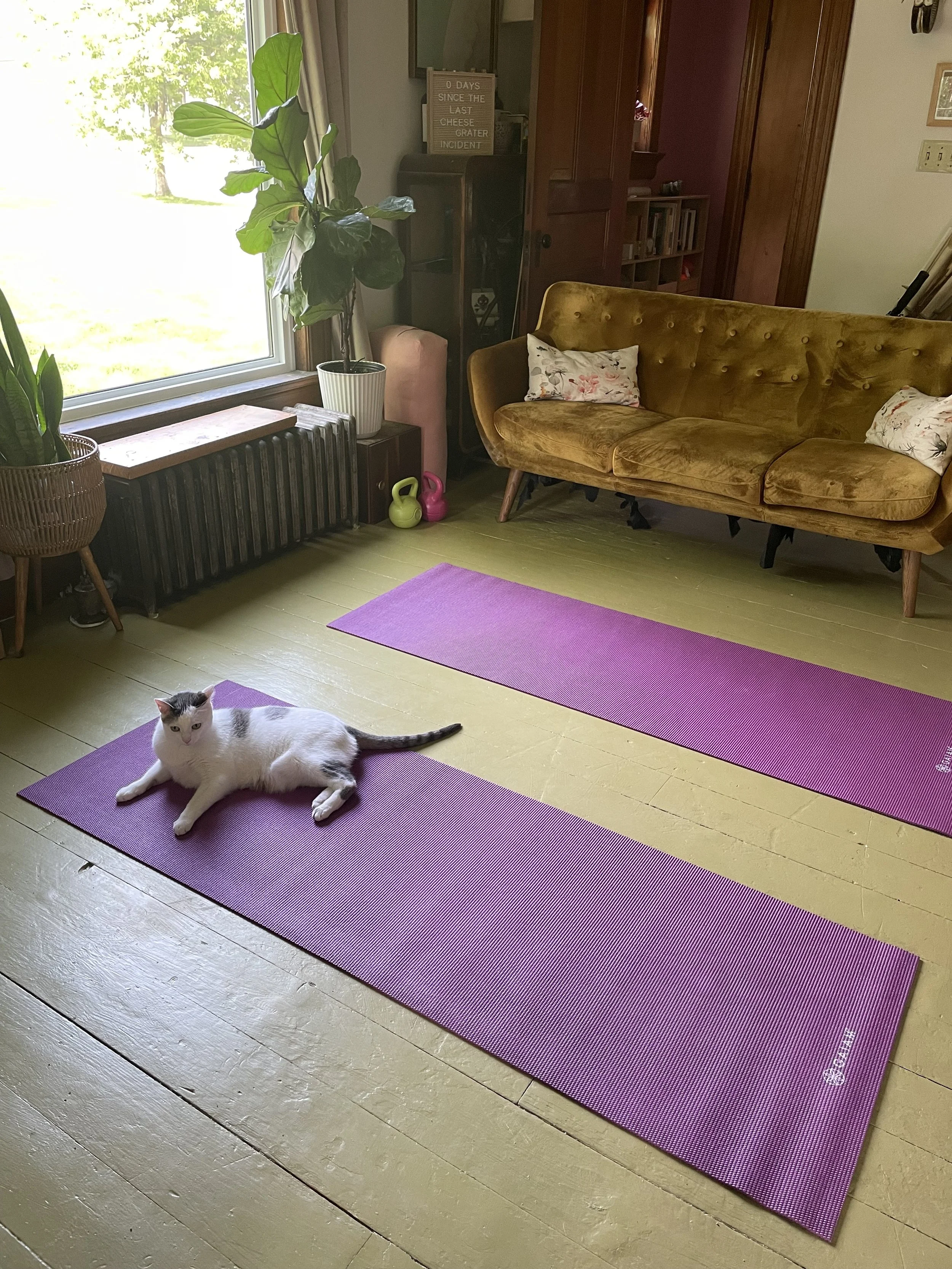 Mindful Movement  6/4/26