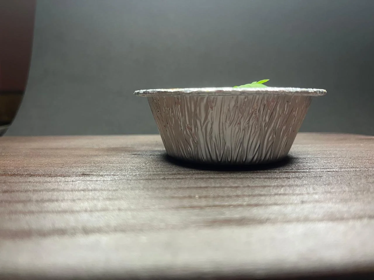 WhatsApp Image 2026-04-10 at 07.12.02 (15).jpeg