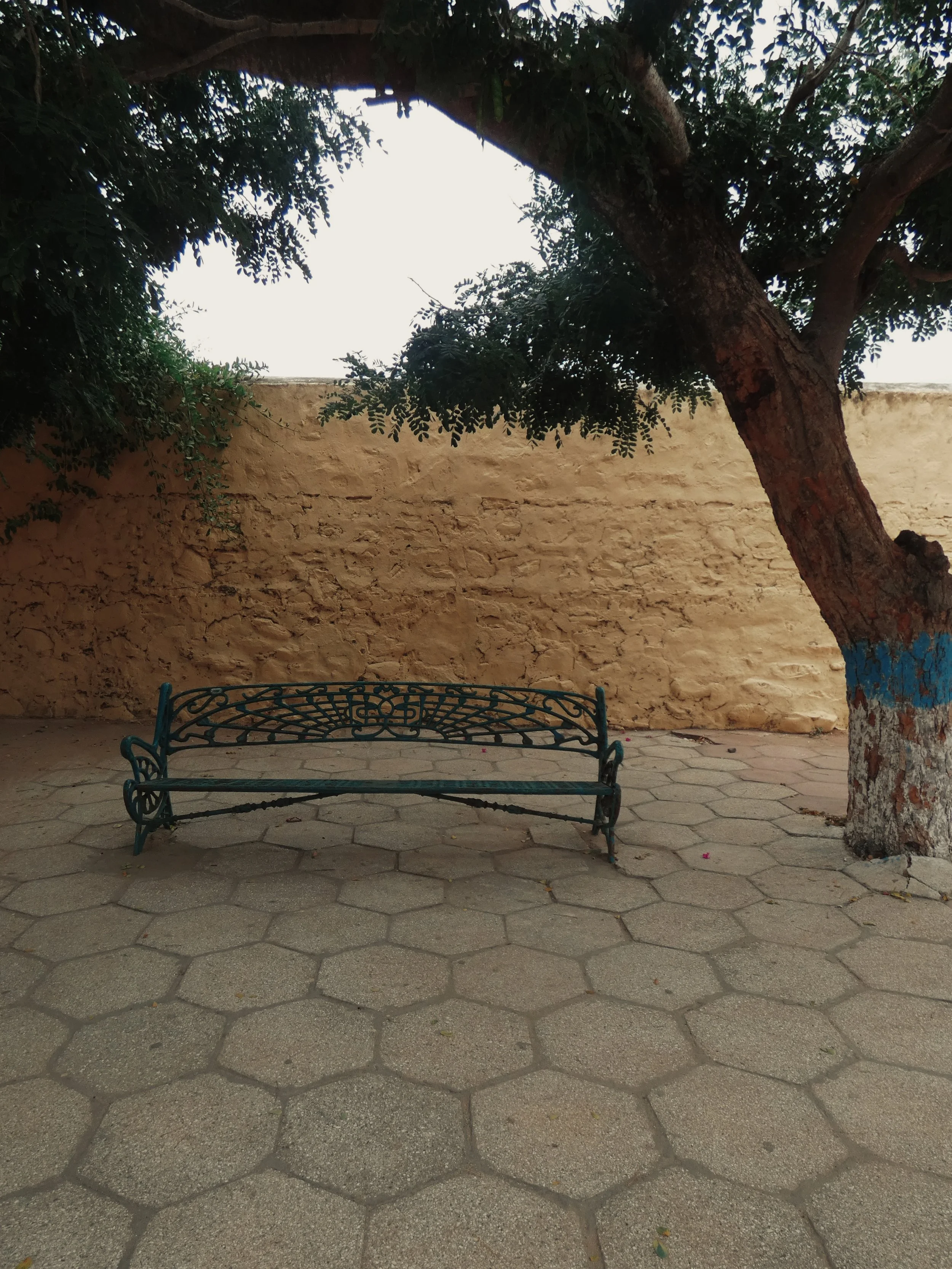 1110481_VSCO.jpeg