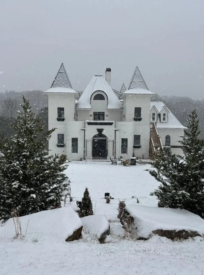 A large white castle-like house with snow-covered roof and towers in a snowy landscape, surrounded by trees.
