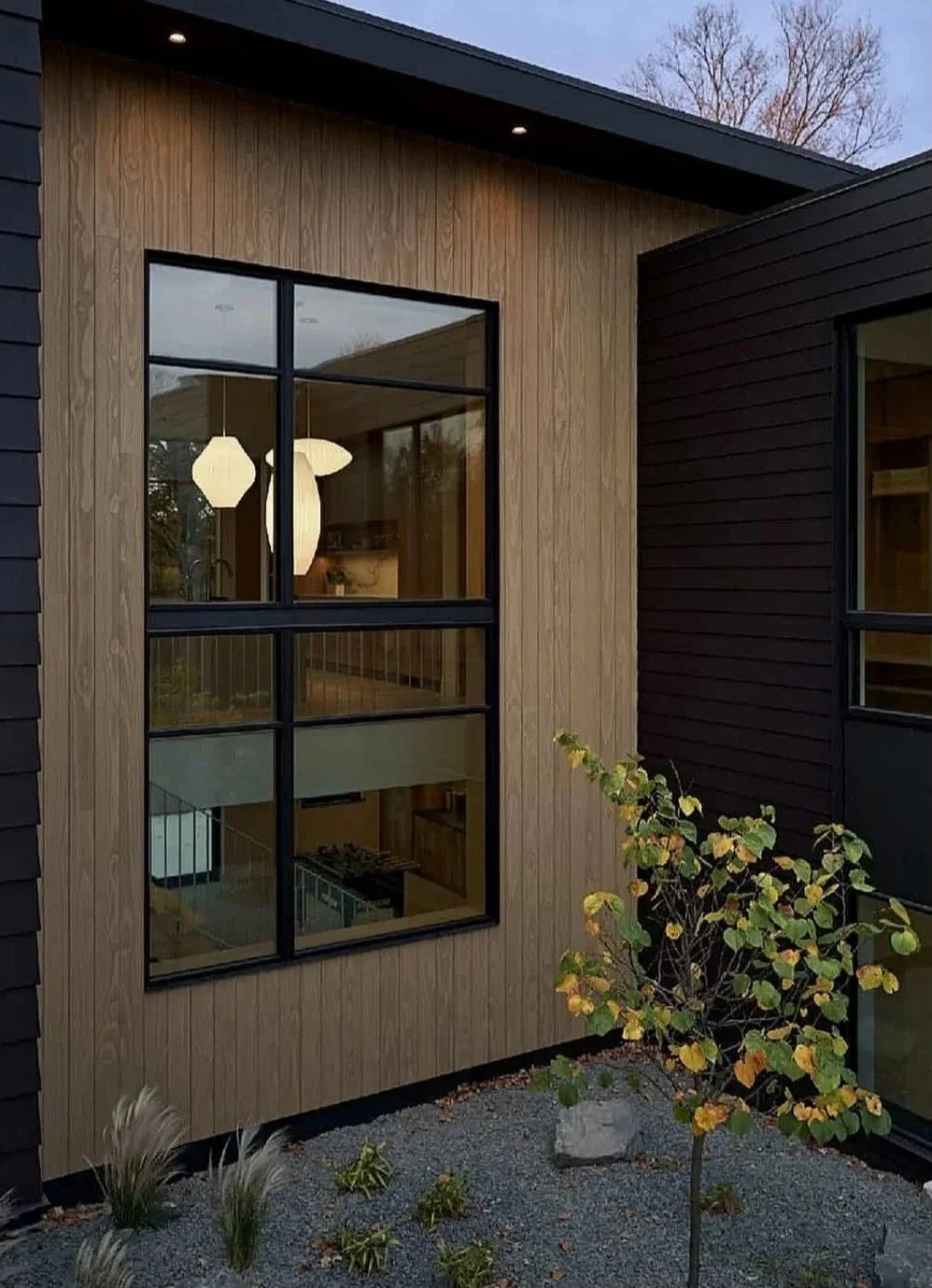 Exterior view of a modern house with wood and black siding, large black-framed windows, and a small garden with a young tree and plants.