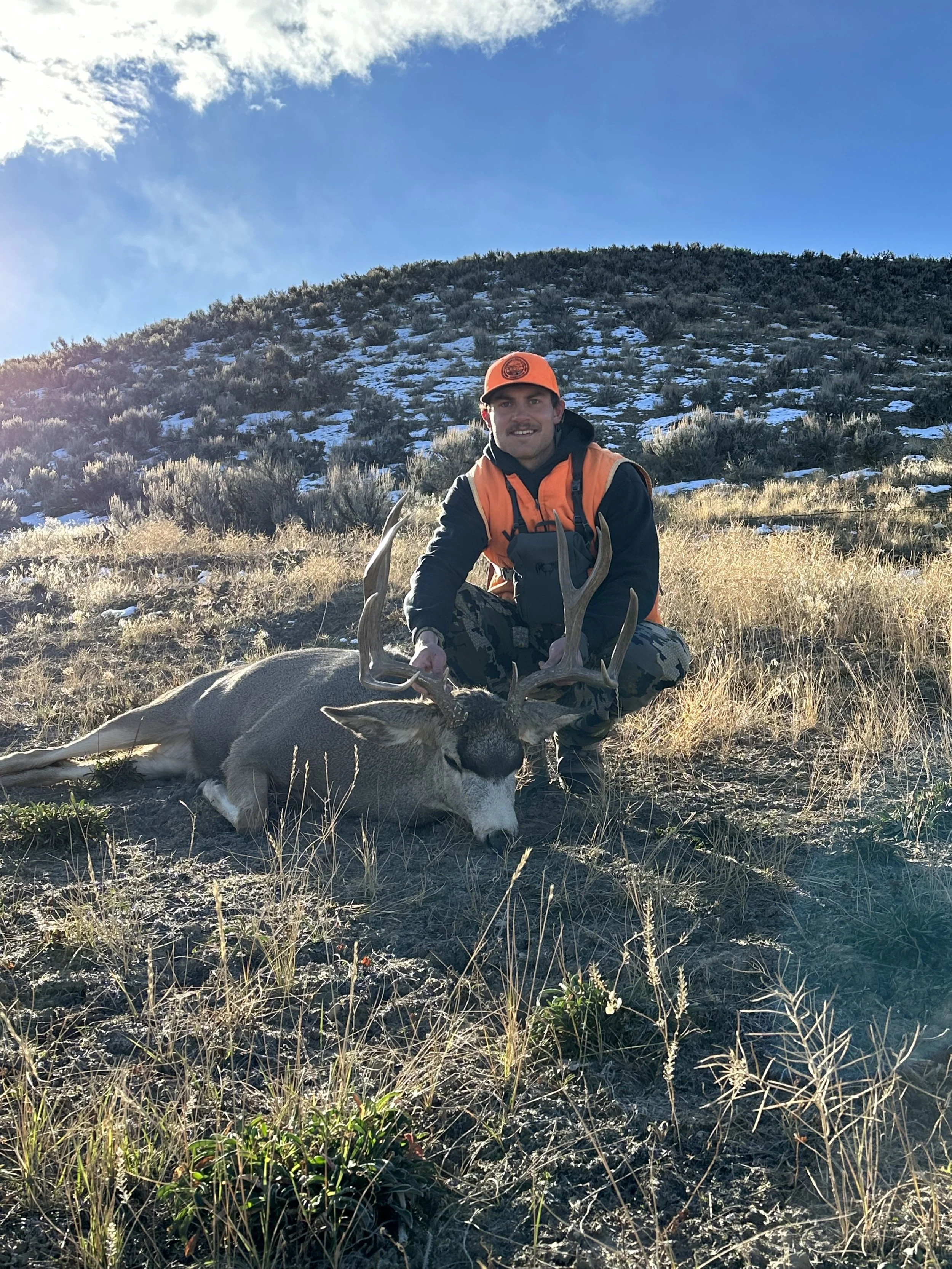 Colorado Rifle Mule Deer 2022