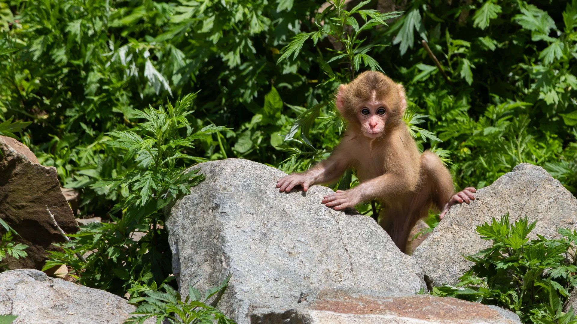 Trip Highlights-10.jpg