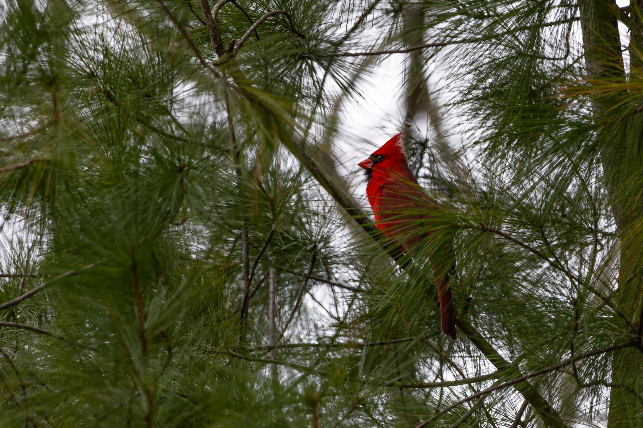 Parents House-19.jpg