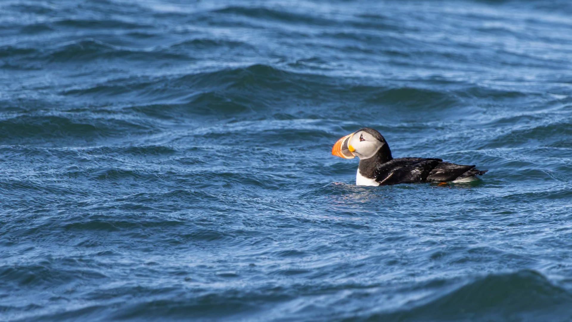 Trip Highlights-24.jpg