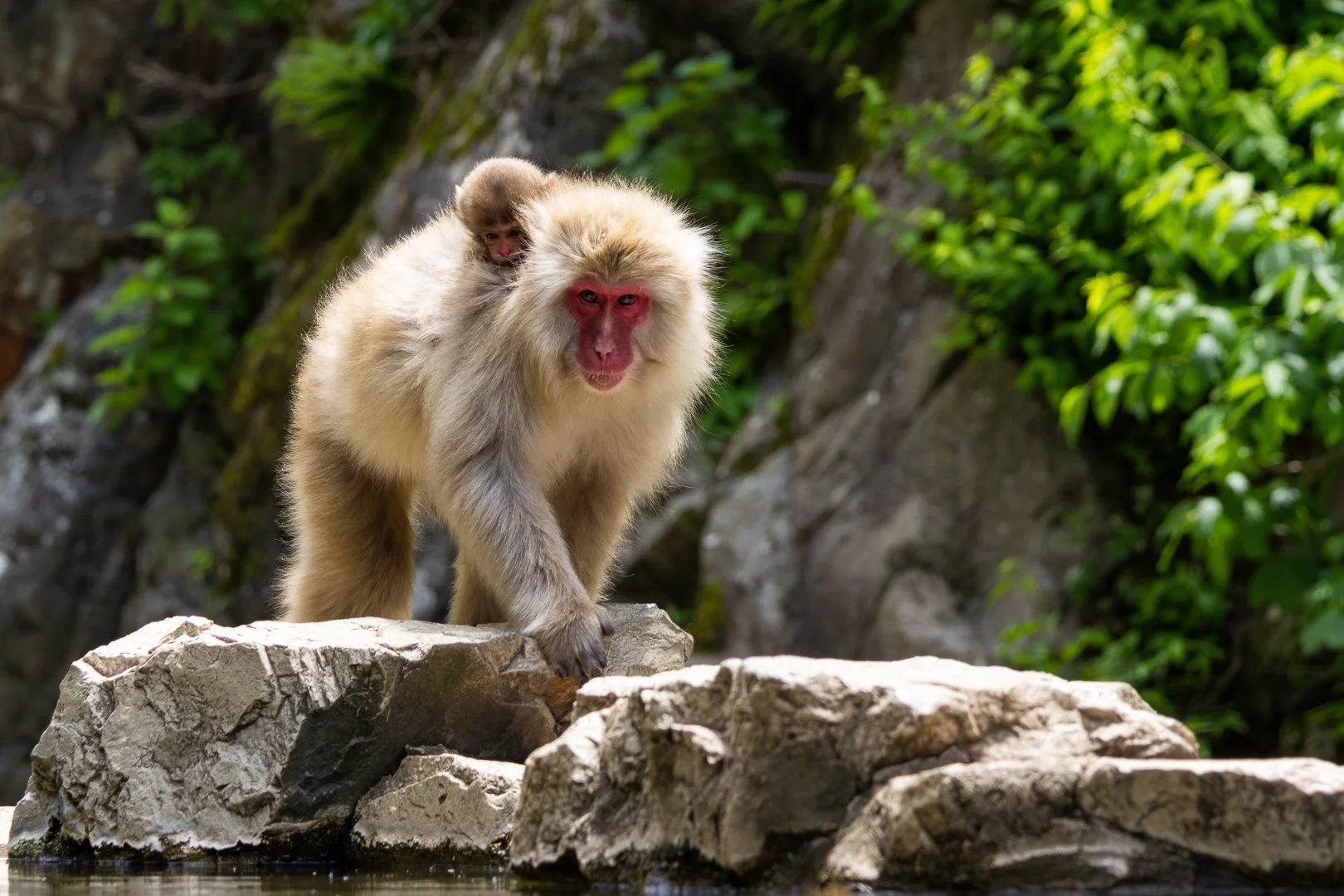 Trip Highlights-11.jpg