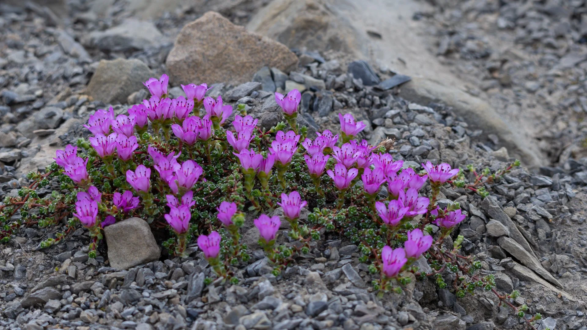 Trip Highlights-15.jpg