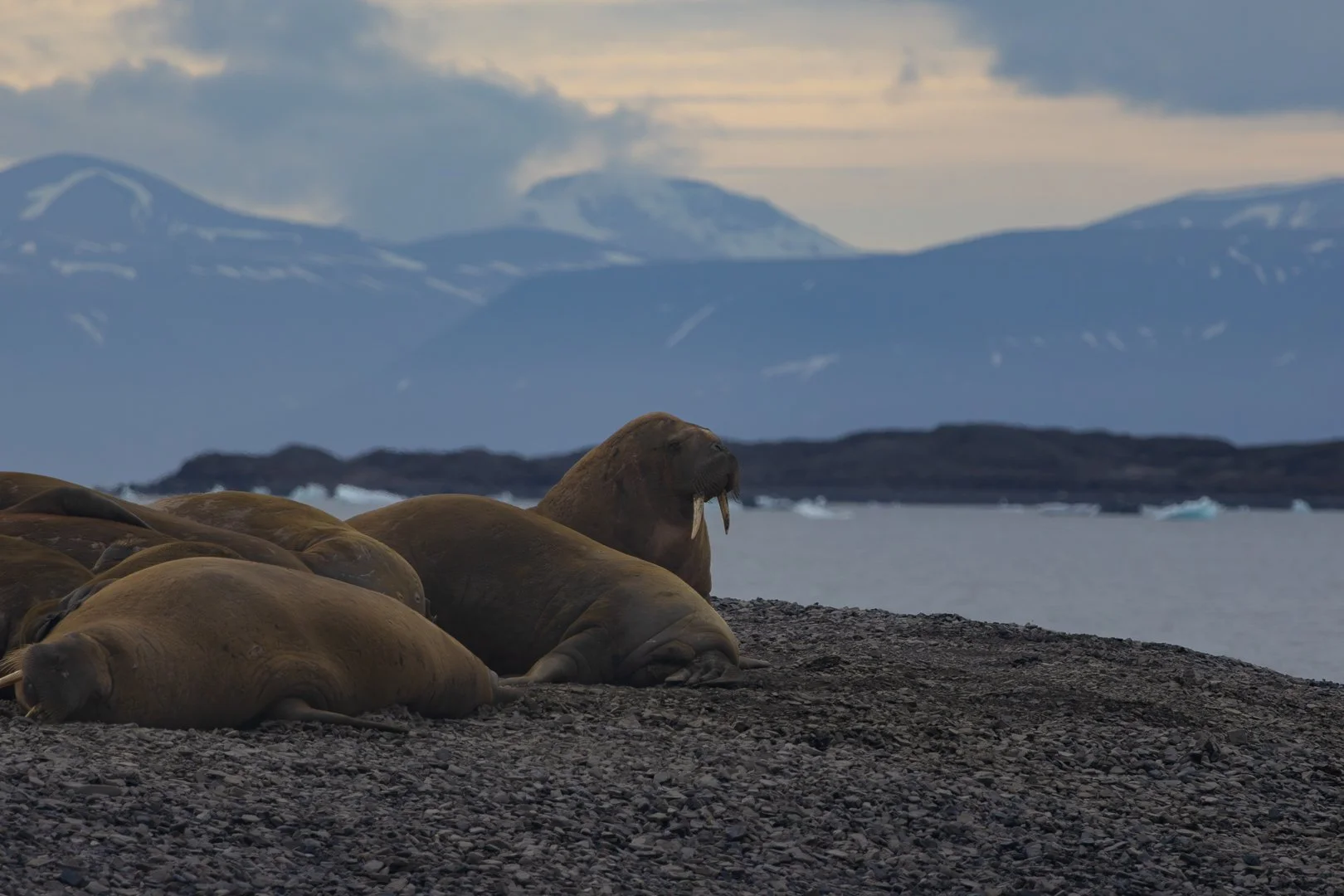 Trip Highlights-26.jpg