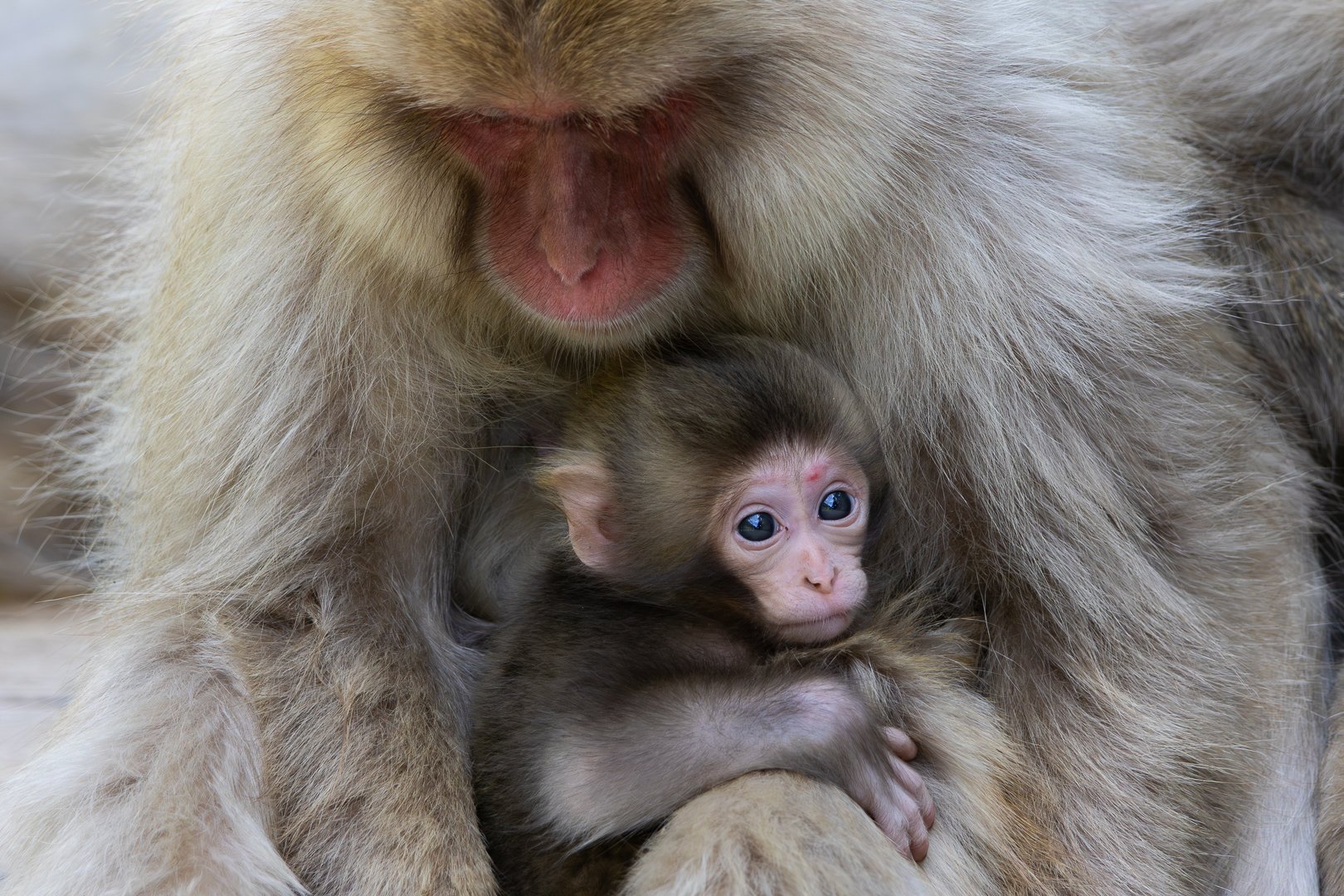 Trip Highlights-12.jpg