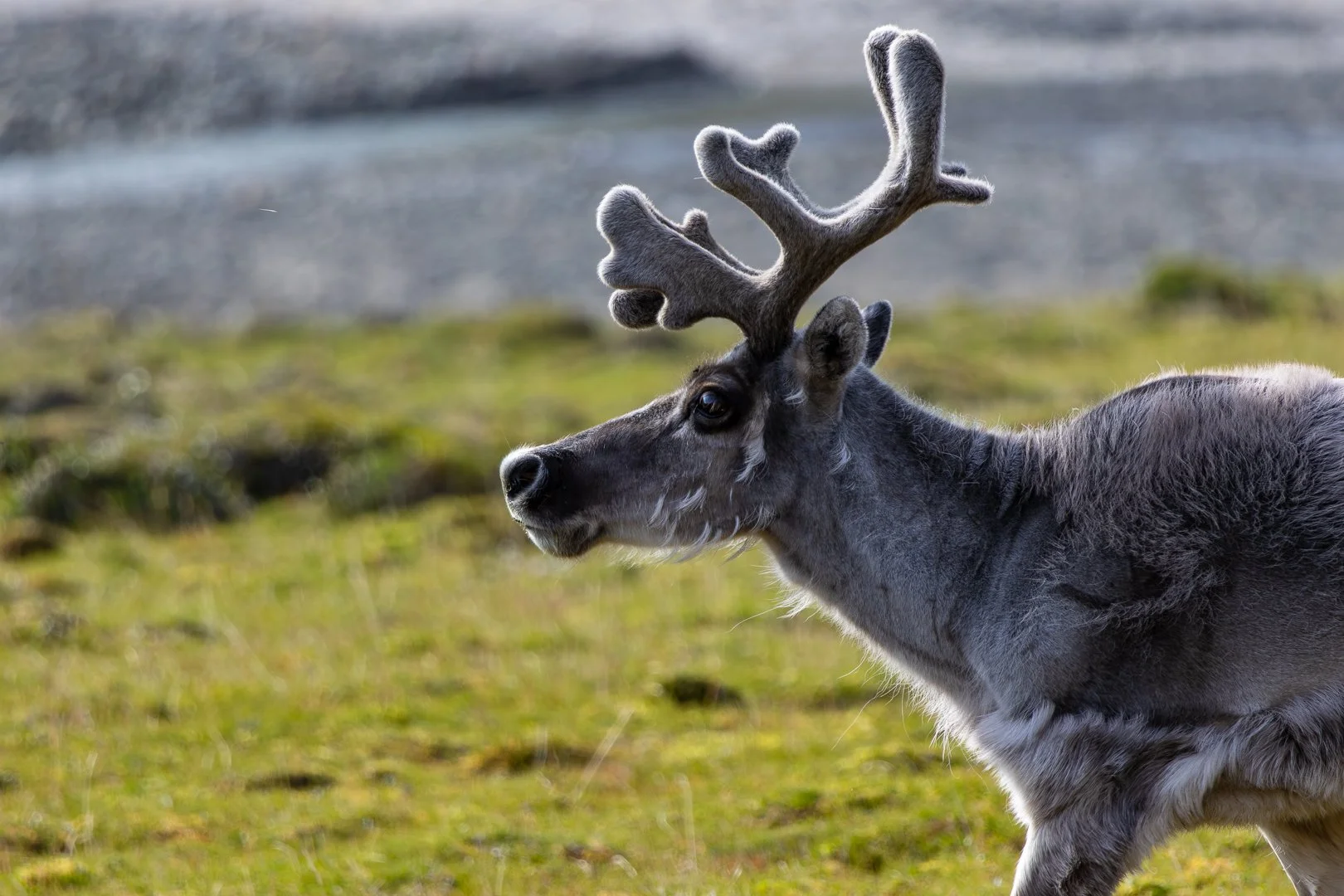 Trip Highlights-19.jpg