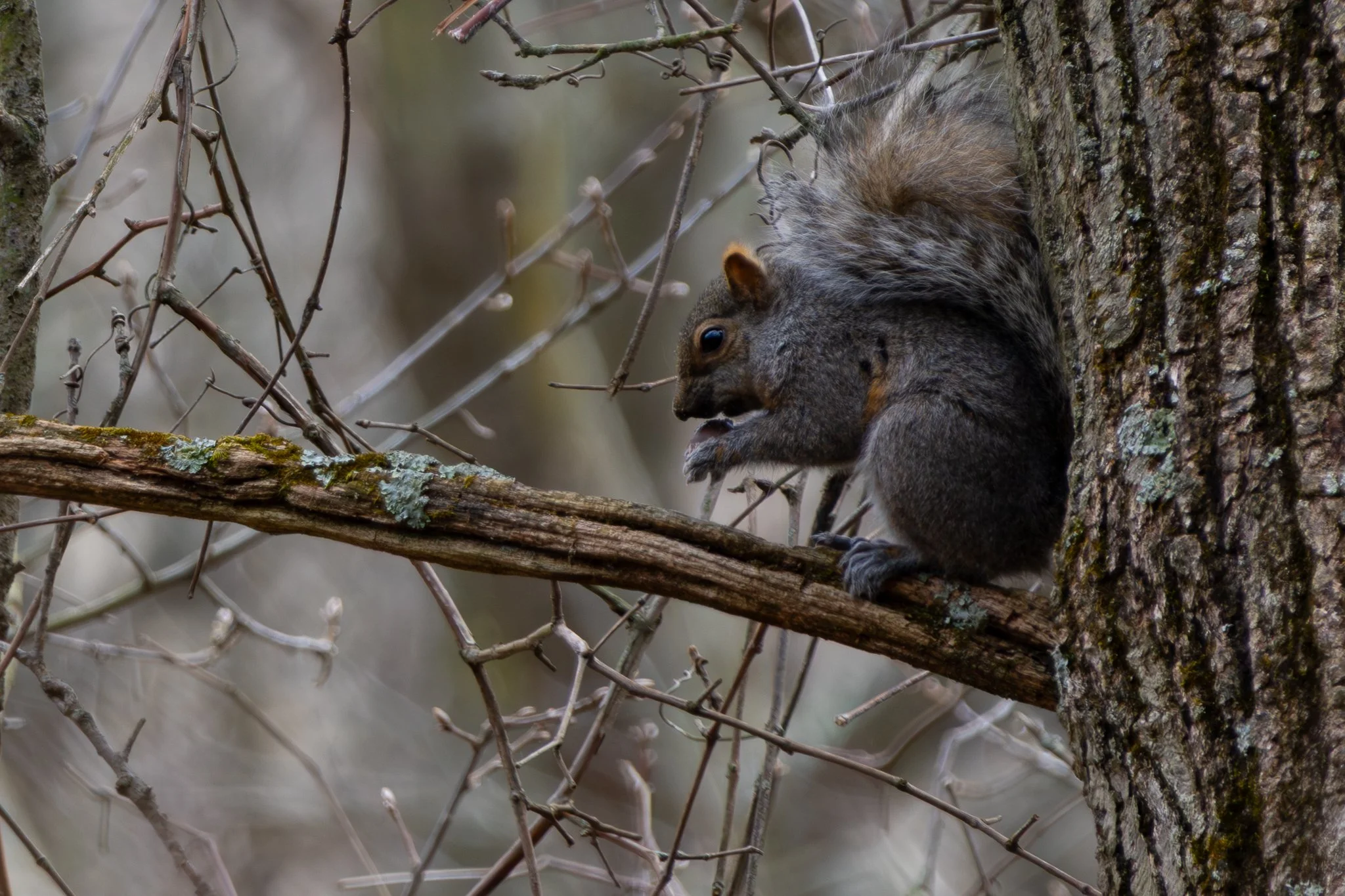 Parents House-18.jpg