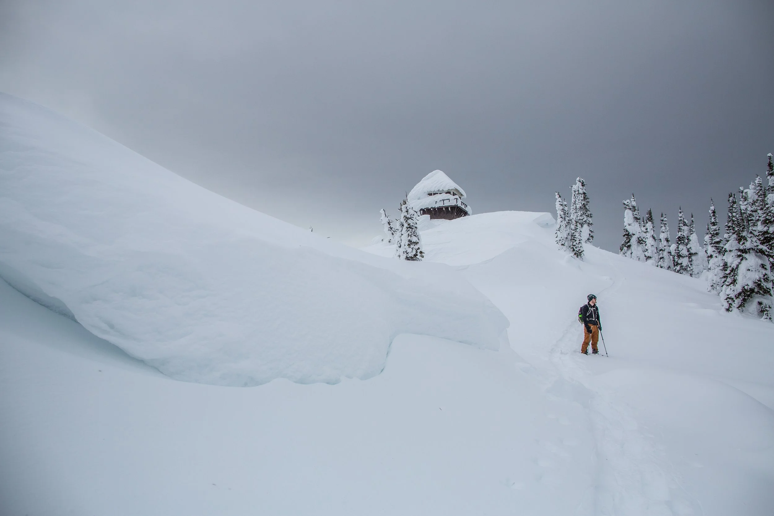 Winter in Mt Brown.jpg