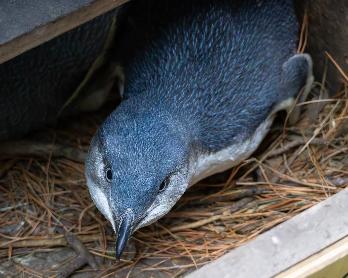 Trip Highlights-7.jpg