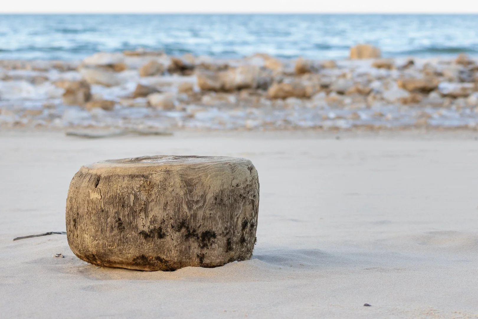 Wood on the beach.jpg