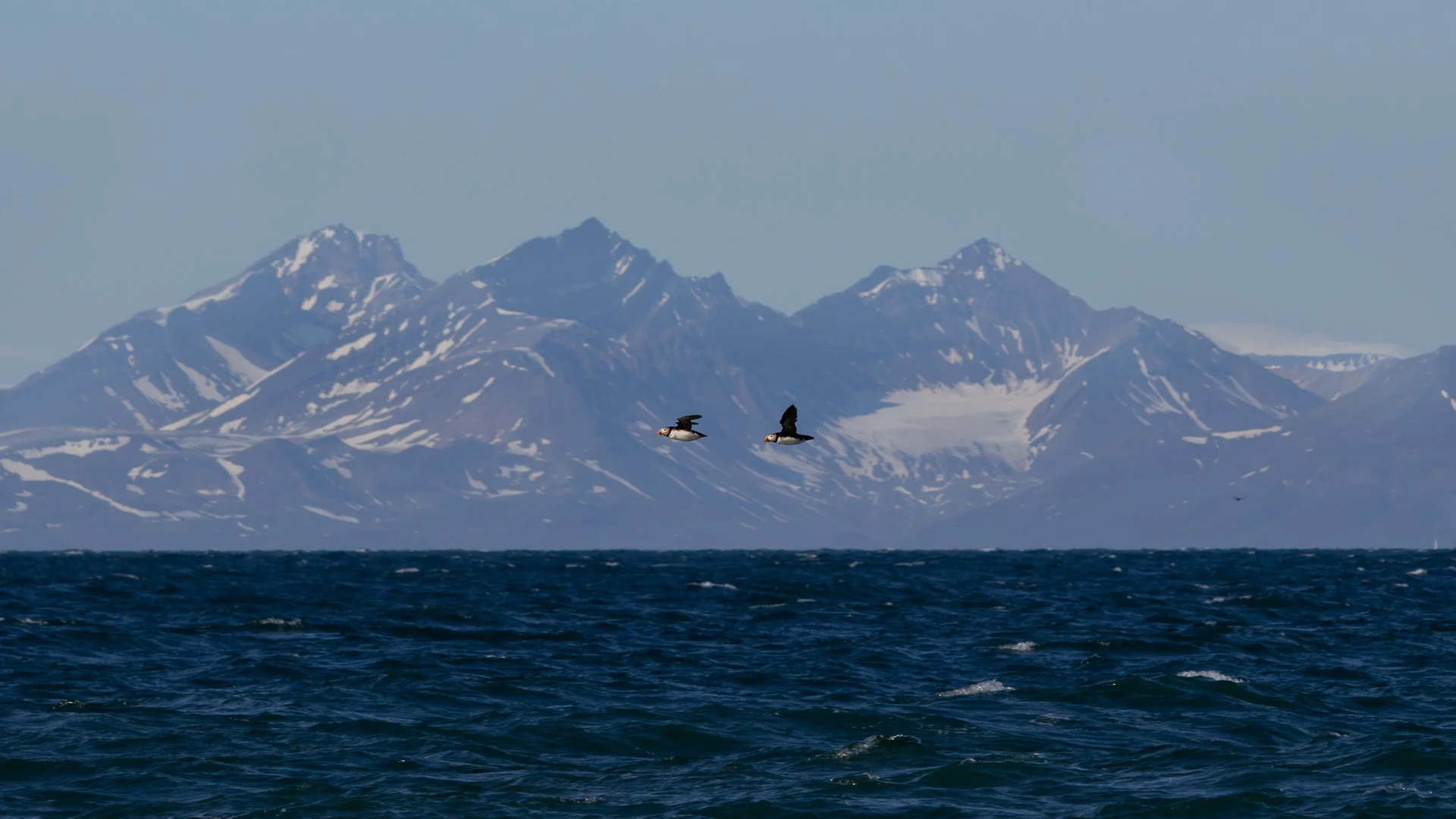 Trip Highlights-22.jpg