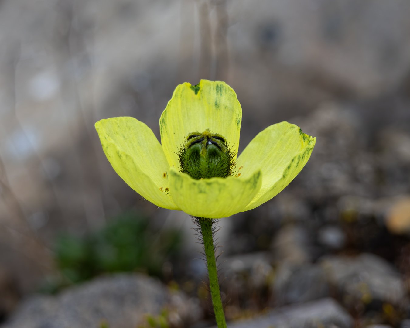 Trip Highlights-16.jpg