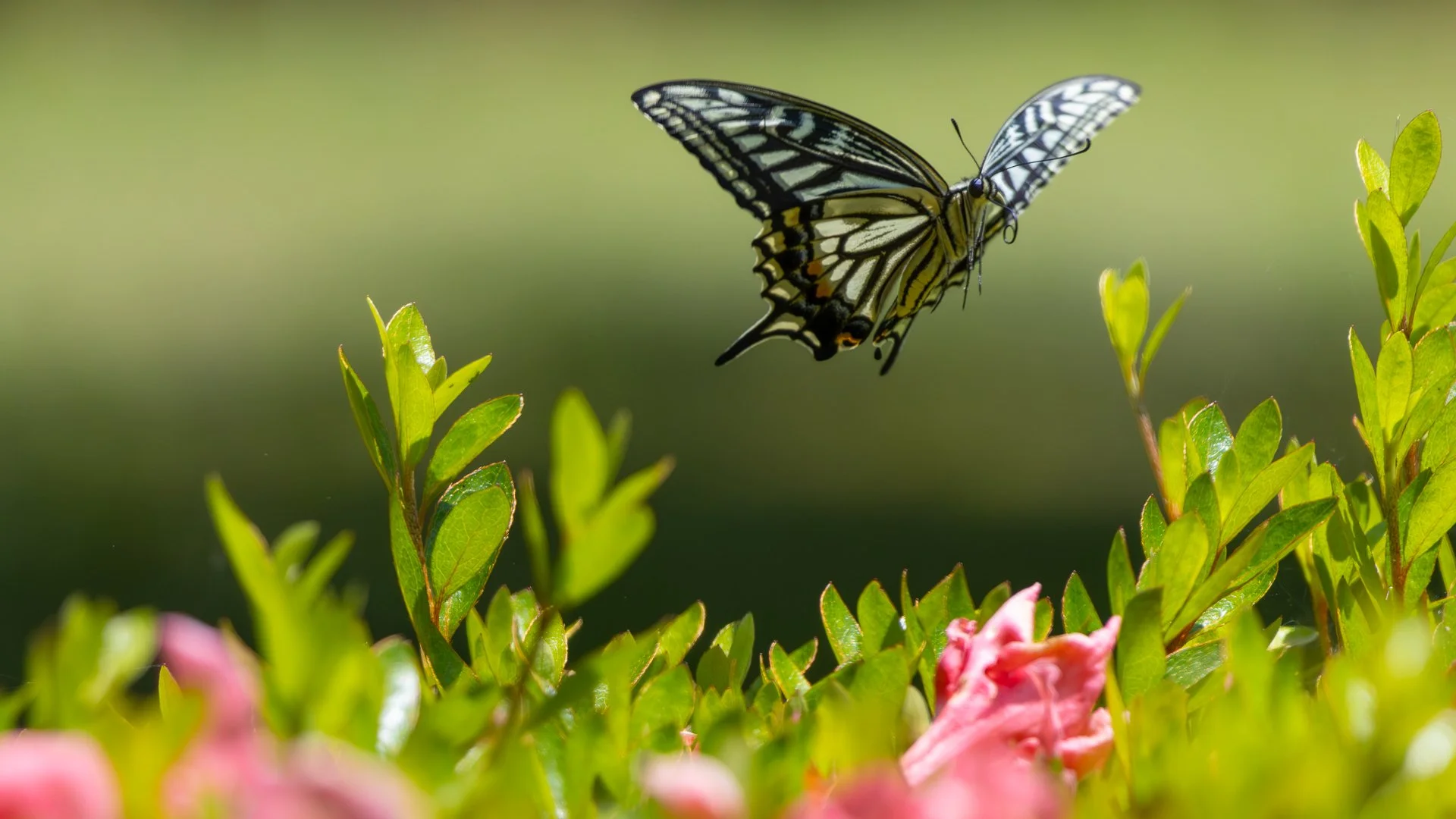 Trip Highlights-8.jpg