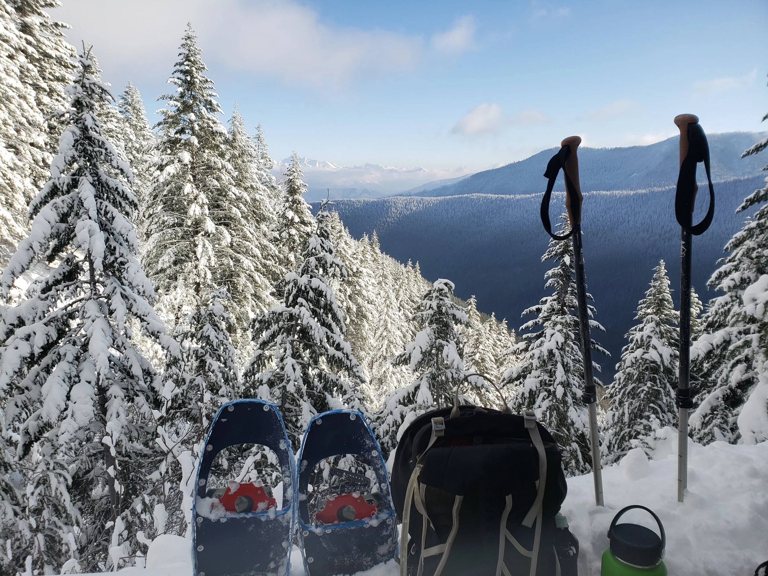 Snowshoes.jpg