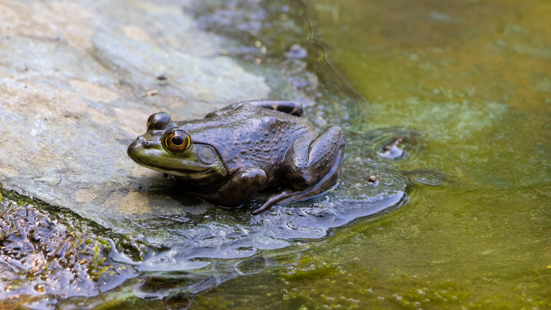 Trip Highlights-9.jpg