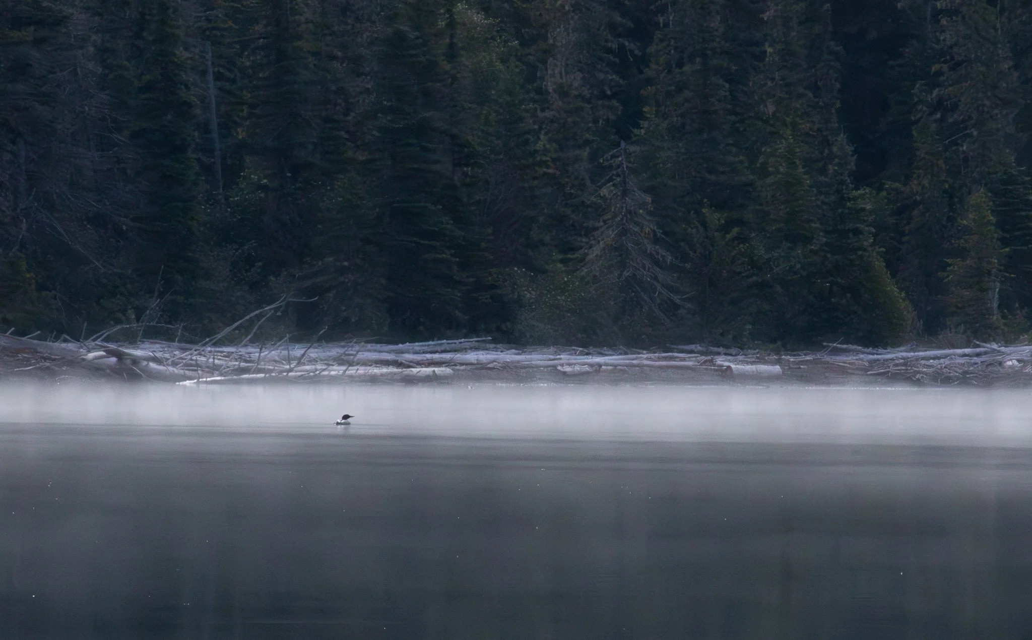 Glacier Photos (1 of 1).jpg