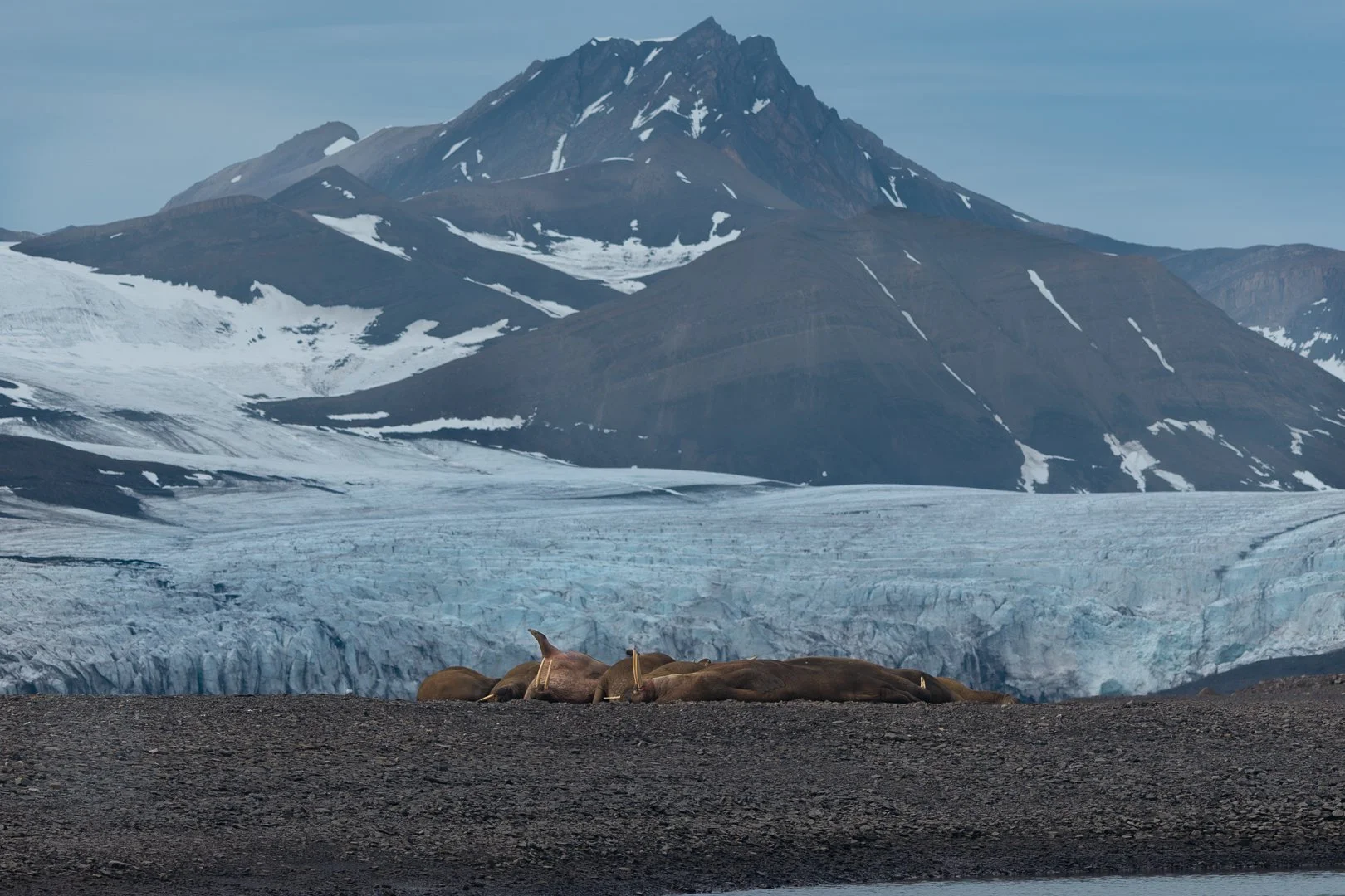 Trip Highlights-29.jpg