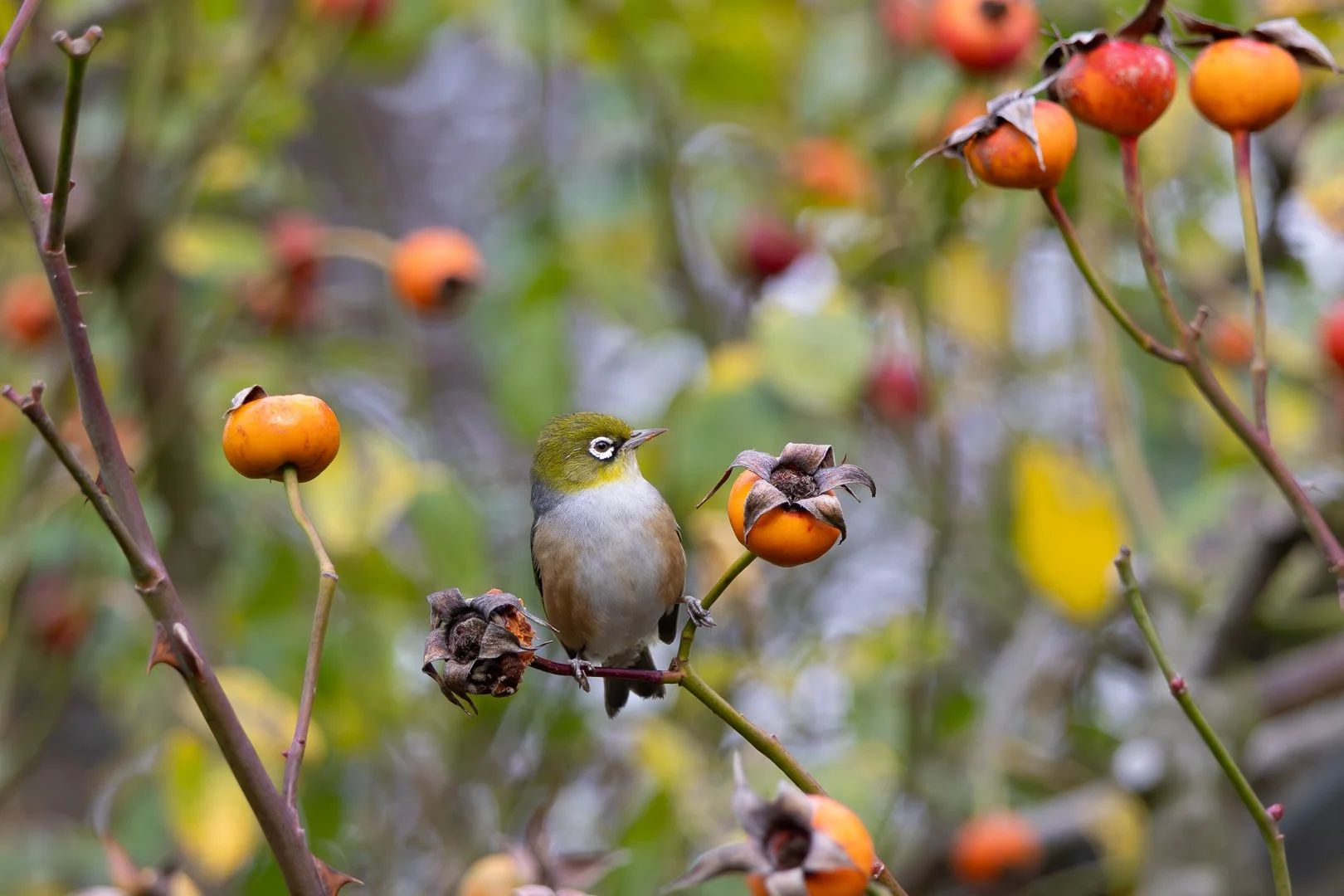 Trip Highlights-6.jpg