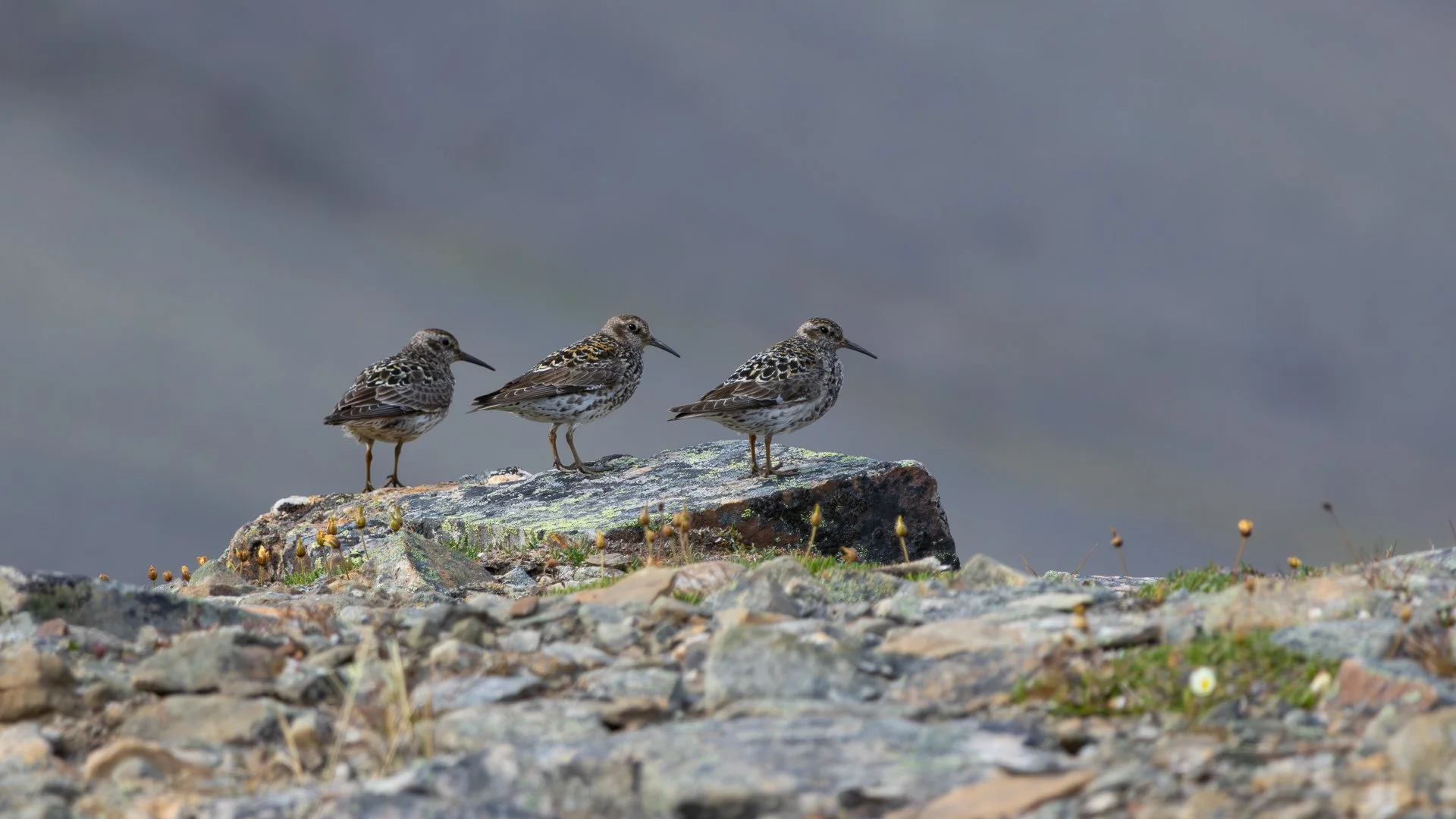 Trip Highlights-21.jpg