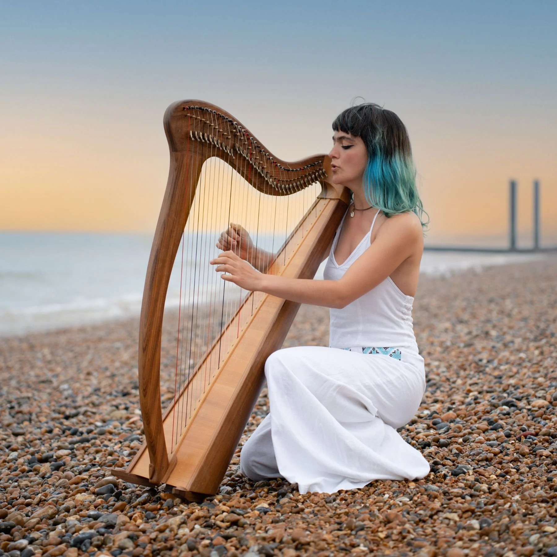 Chloe harp pic.jpg