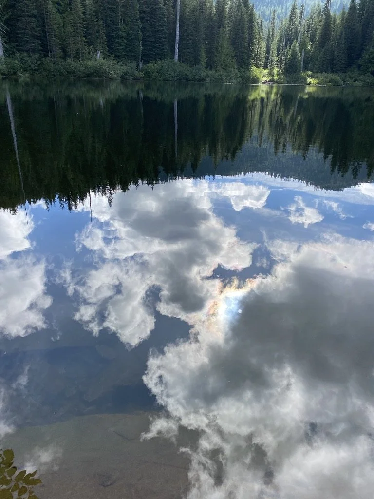 A serene lake reflecting the cloudy sky and surrounding pine trees in a forested area.