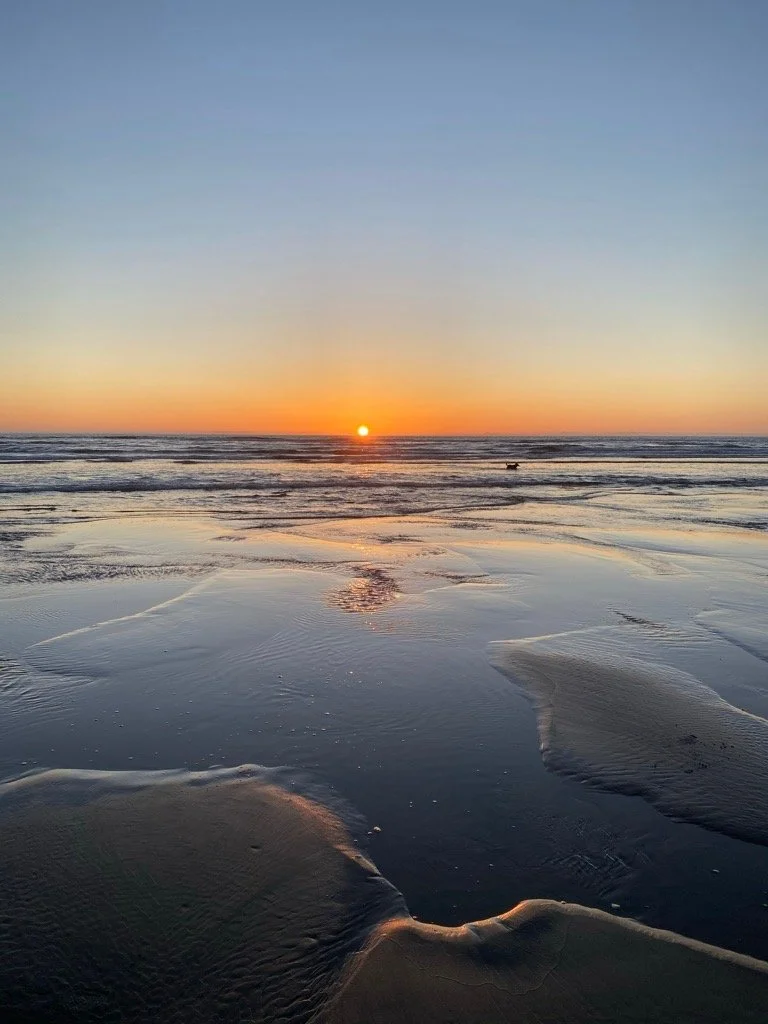 Sunset over an ocean with wet sands in the foreground and a small dog walking in the distance.