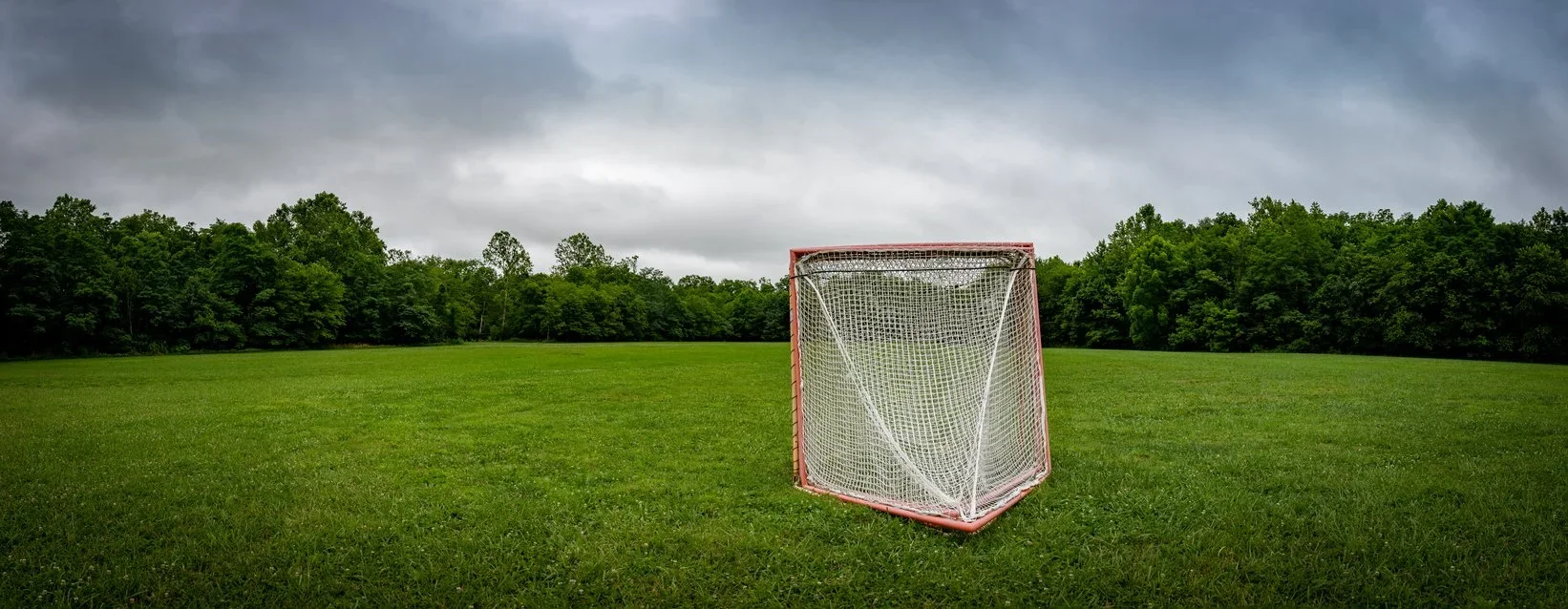 Lacrosse goal on a grassy field with trees and cloudy sky in the background.
