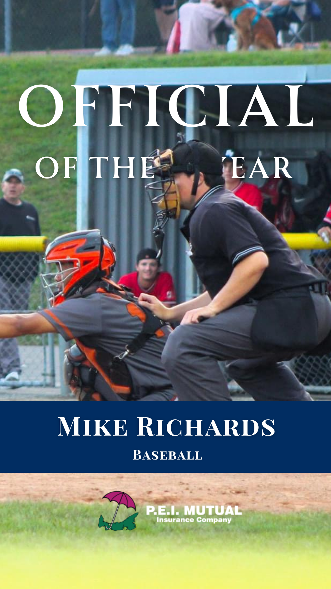 Cover of a book titled 'Official of the Year' by Mike Richards. The cover features a photograph of a baseball game, where a coach or umpire is interacting with a player near the dugout. There are spectators in the background and a grassy field.