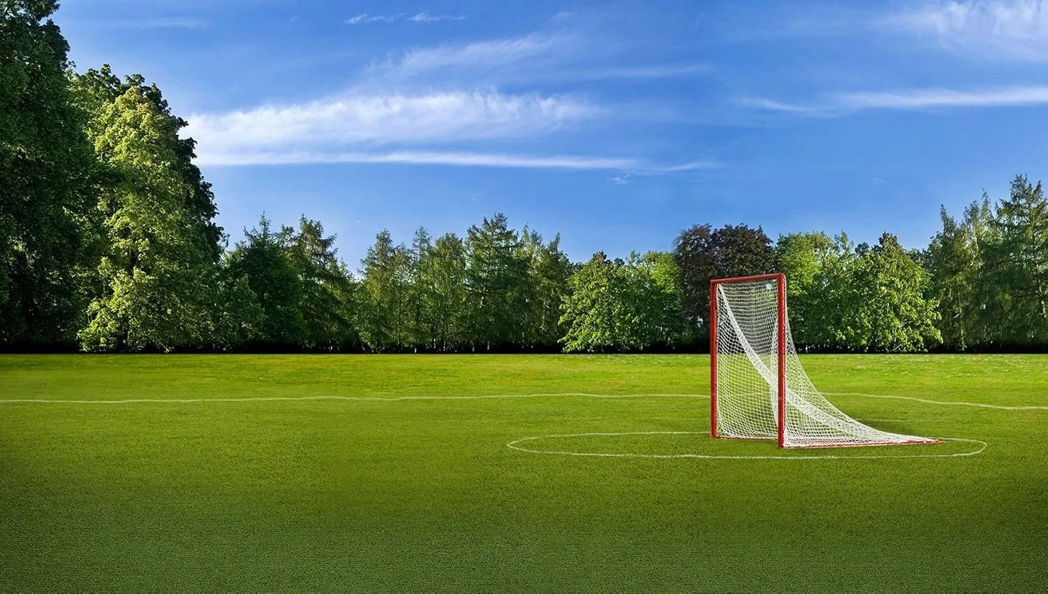 A lacrosse goal on a grass field with trees in the background and a blue sky.
