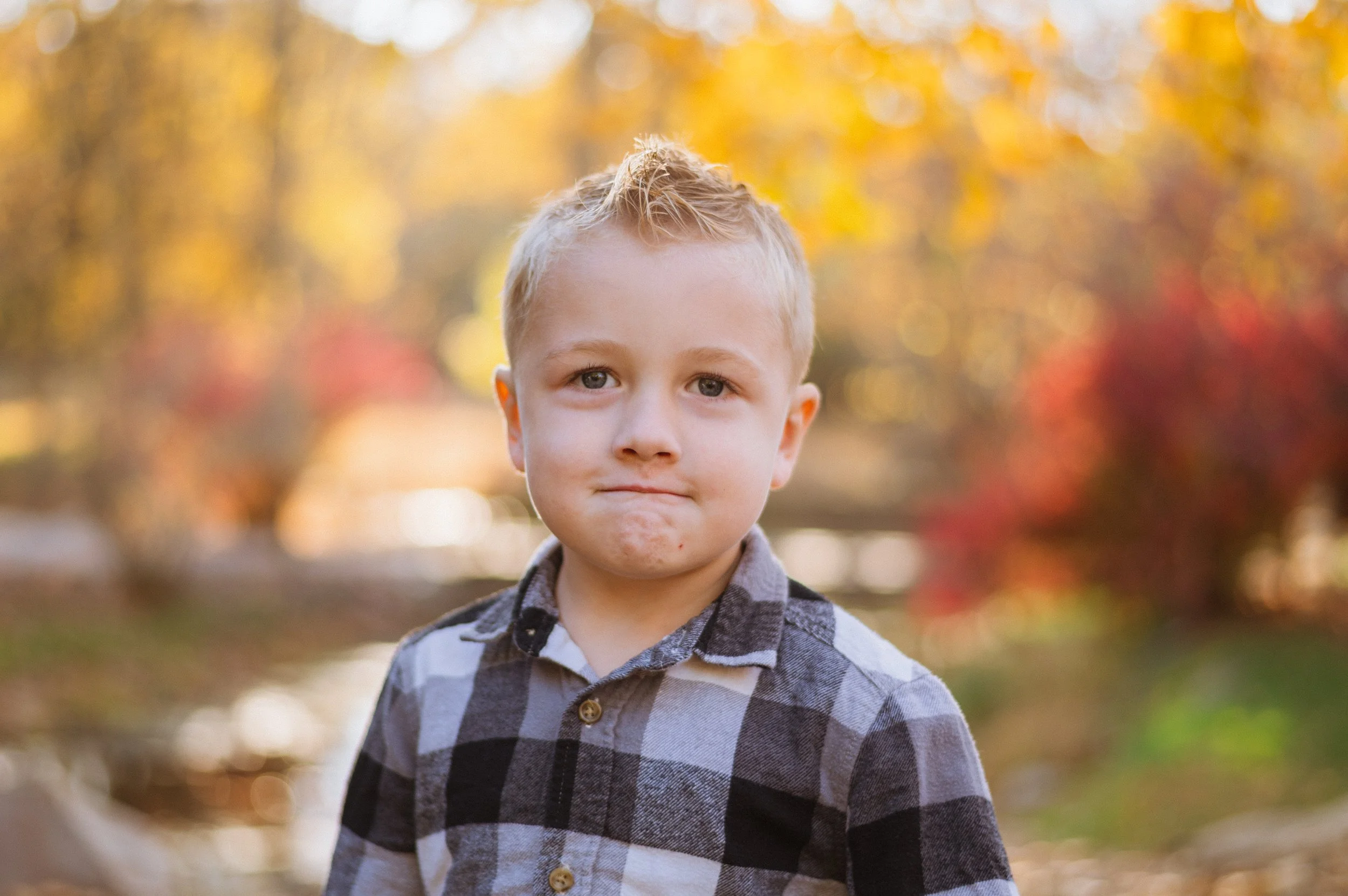 A young boy with blonde hair and blue eyes standing outdoors during autumn, wearing a gray and black plaid shirt, with fall trees and colorful foliage in the background.
