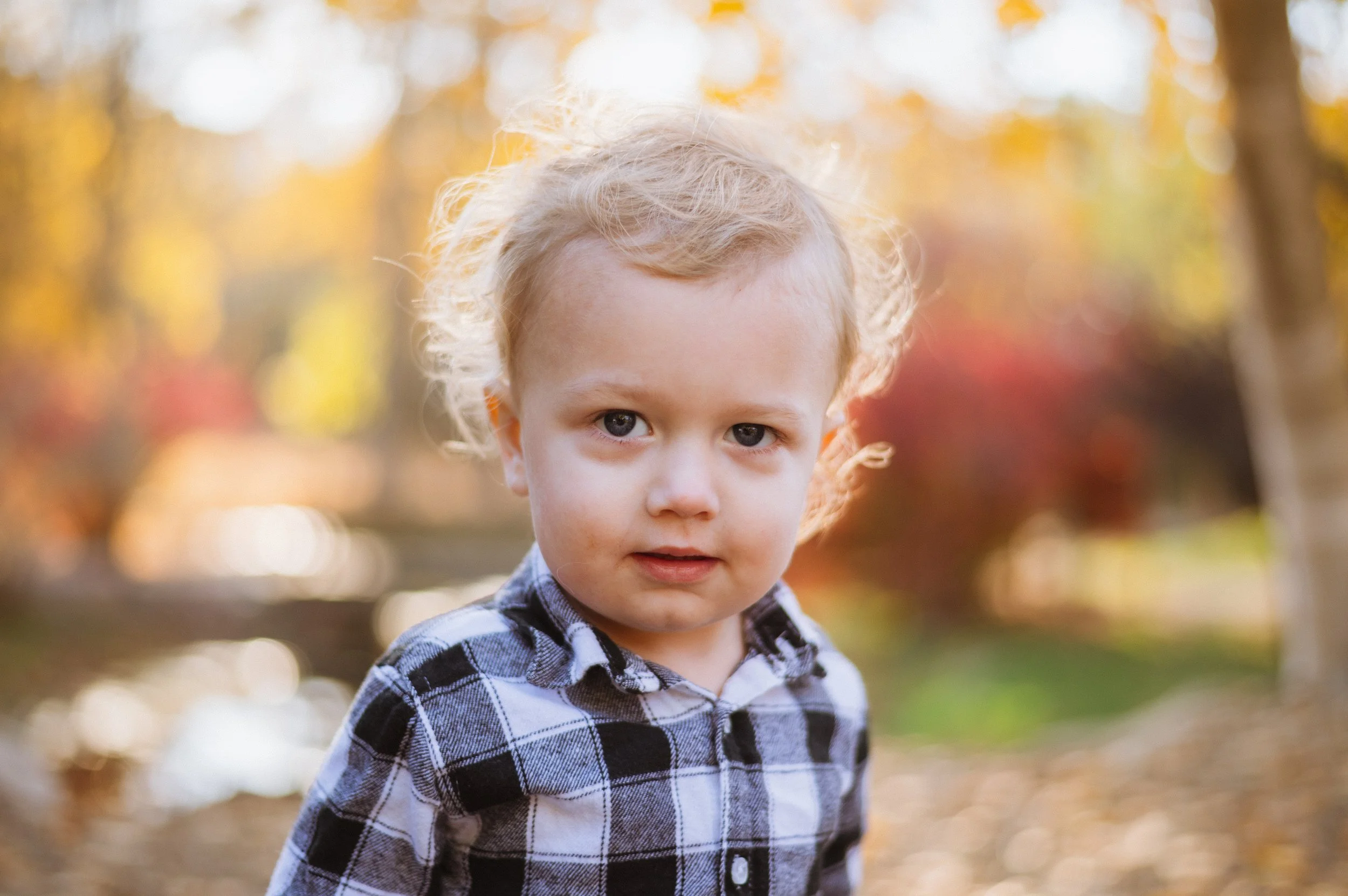 A young boy with curly blonde hair and blue eyes wearing a black and white plaid shirt outdoors during autumn.
