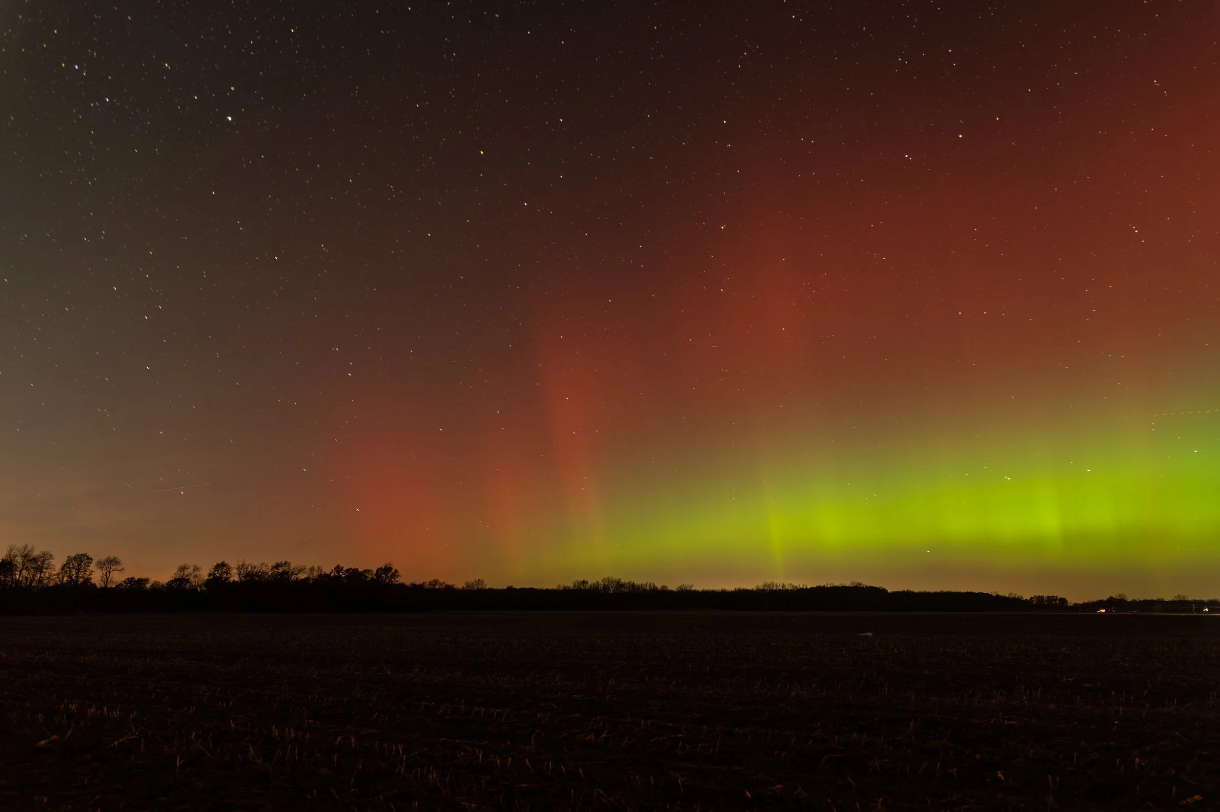 Night sky with the Northern Lights (aurora borealis) displaying green and red colors, stars visible, with a silhouette of trees and an open field below.
